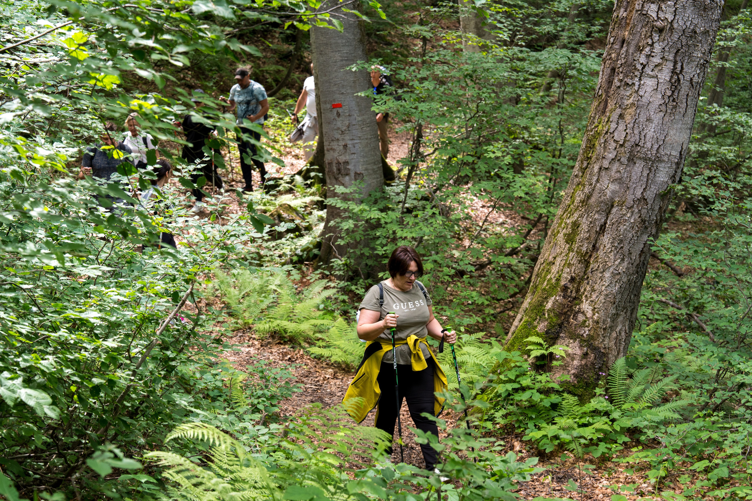 MICE мероприятие для компании «Доставка морем»: хайкинг к Ачипсинским водопадам. Репортажный фотограф в Красной Поляне и Сочи Павлюченко Екатерина