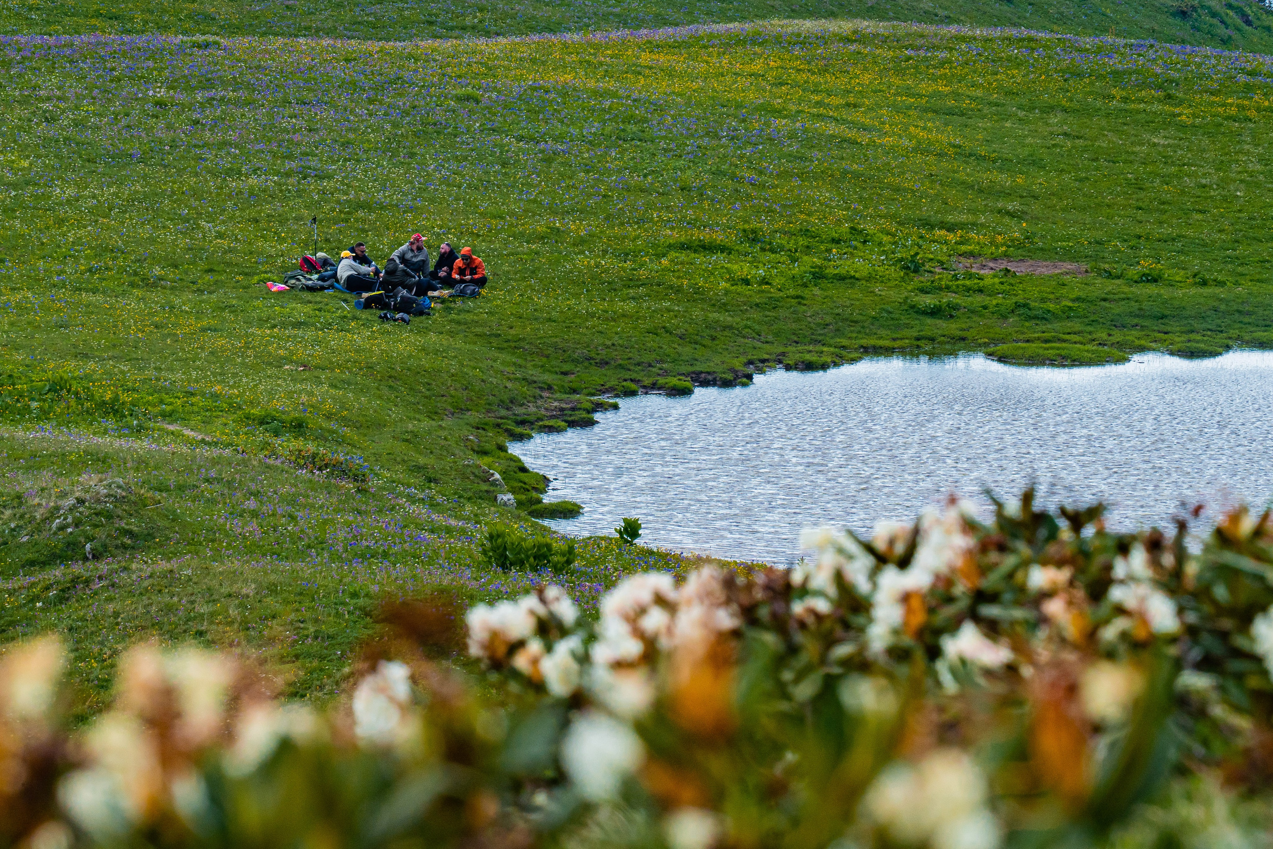 Путешествия и пейзаж. Репортажный фотограф в Красной Поляне и Сочи Павлюченко Екатерина