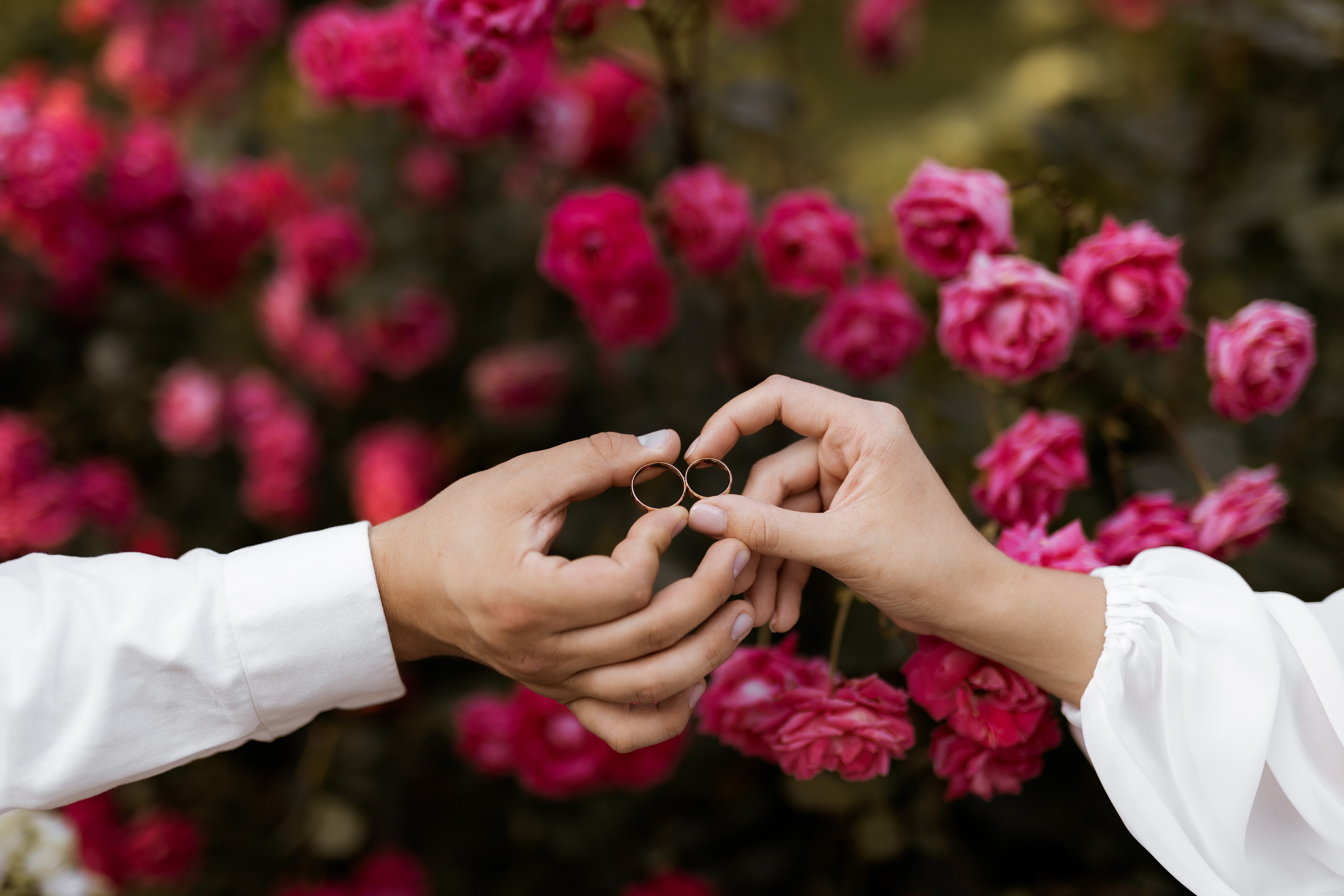 Анна и Алексей. Фотограф Елизавета Князева Сергиев Посад, Москва