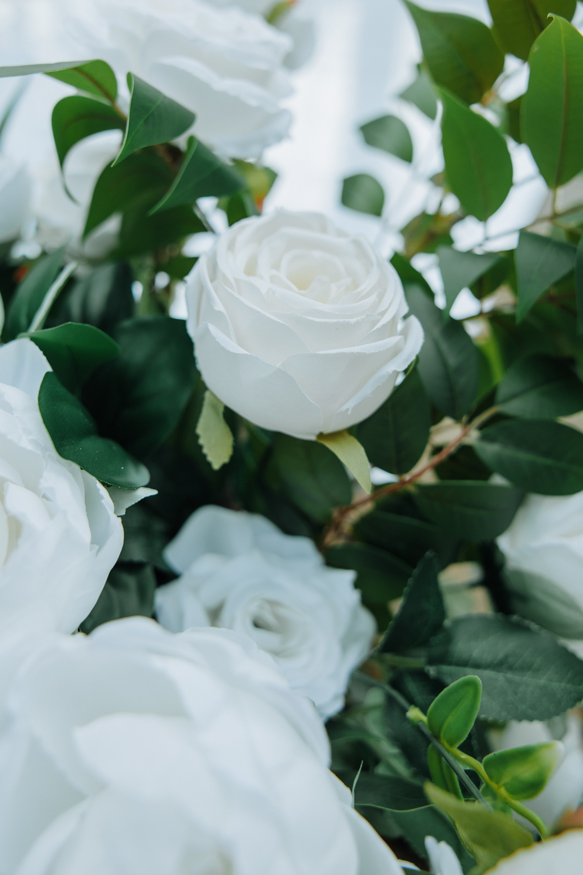 Виктор и Анастасия. Фотограф в Челябинске Ольга Гурьянова