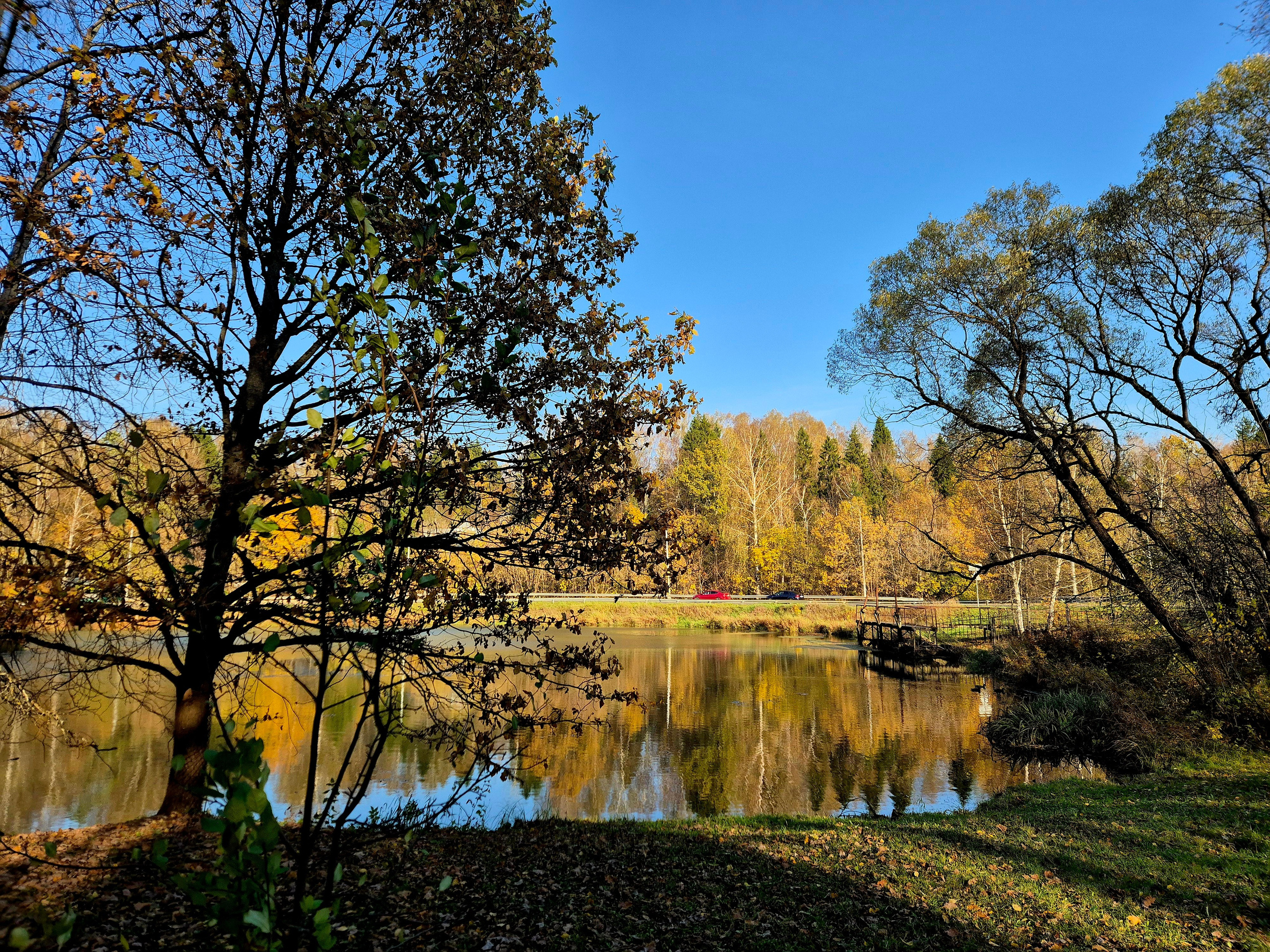 Золотая осень на берегах р.Вори