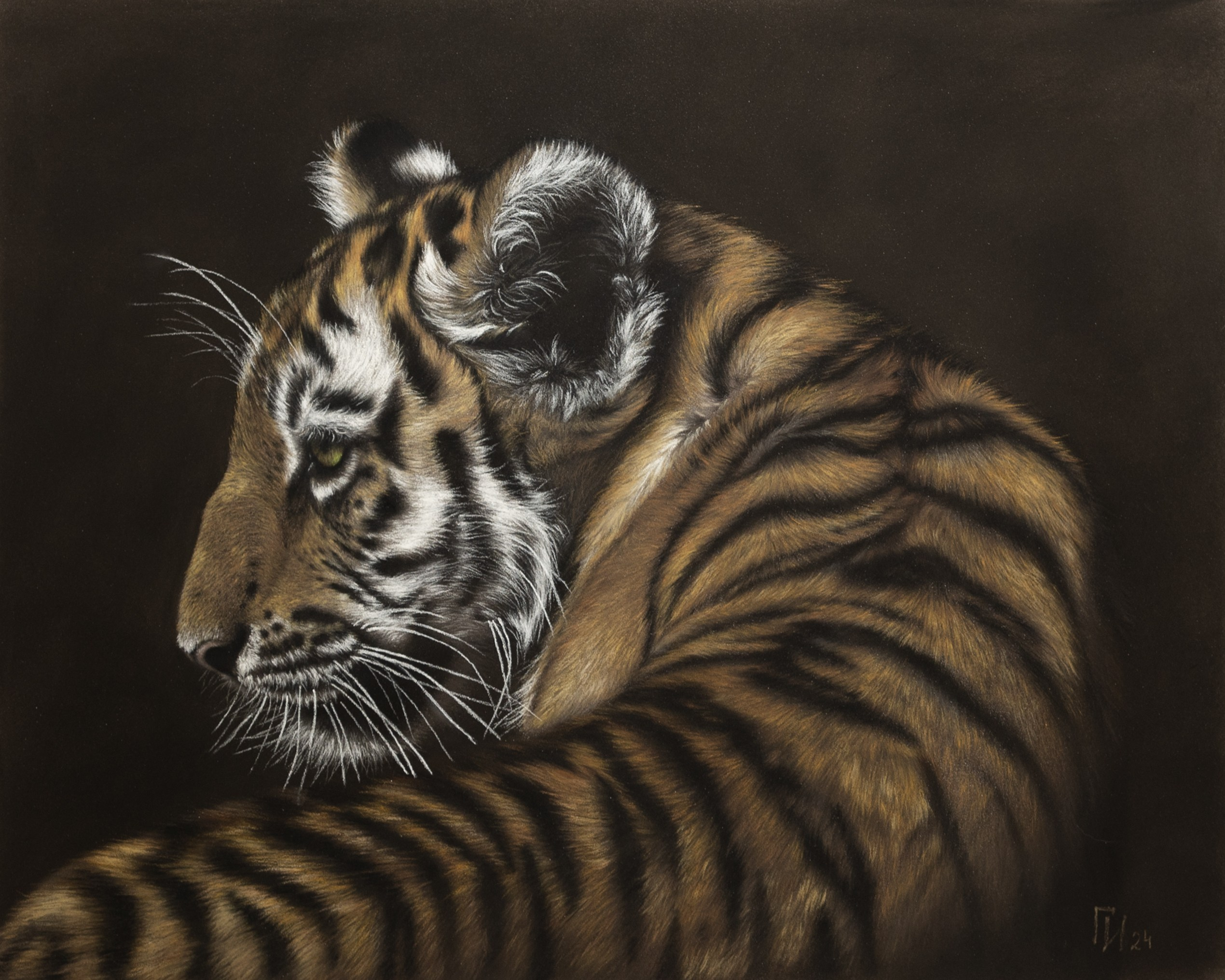 Тигренок. Пастель, 55x45см. Работа по МК.