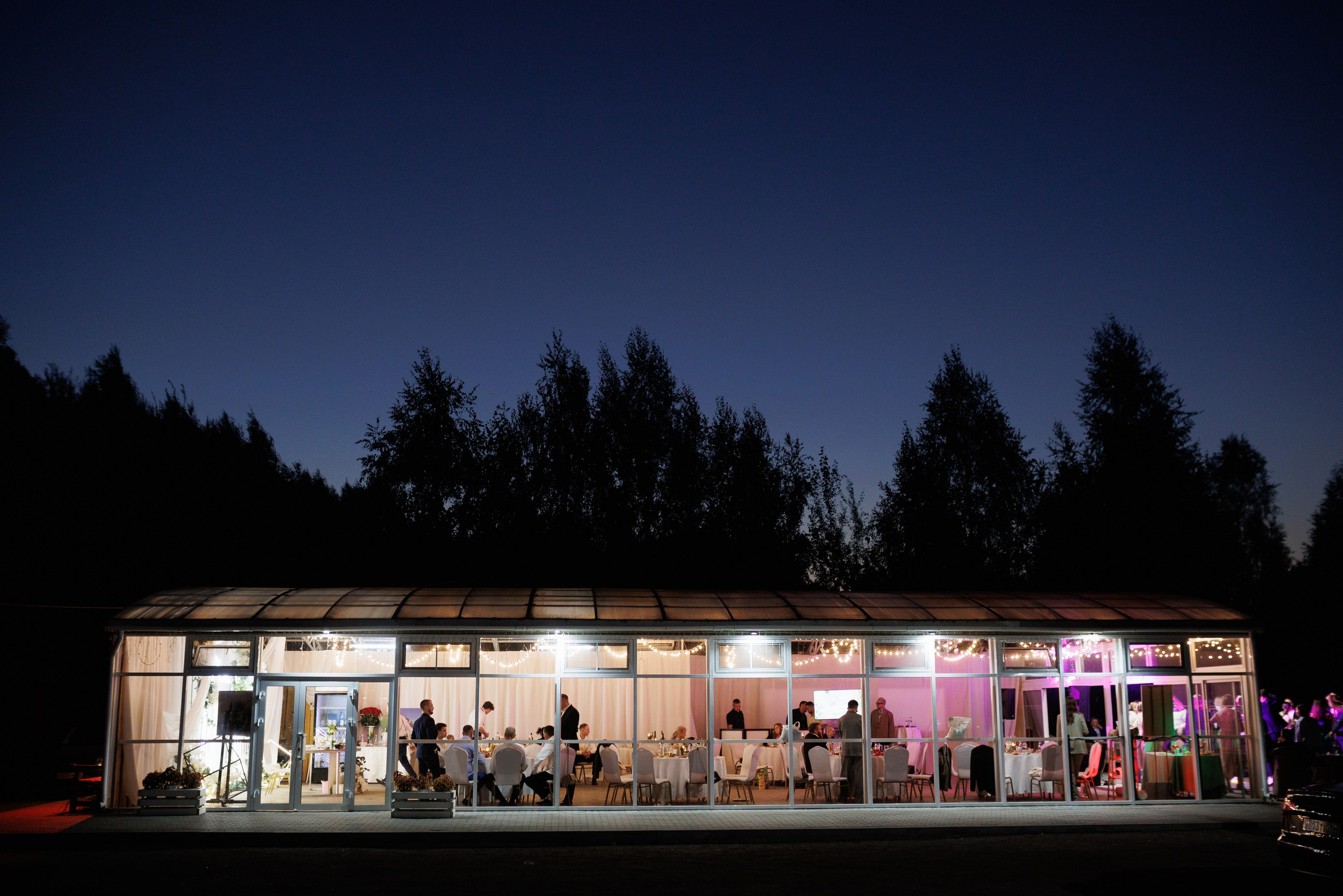 Сентябрь 2025, Белый лис, Выкса. Фотограф городских и семейных событий в Нижнем Новгороде Артем Карпухин