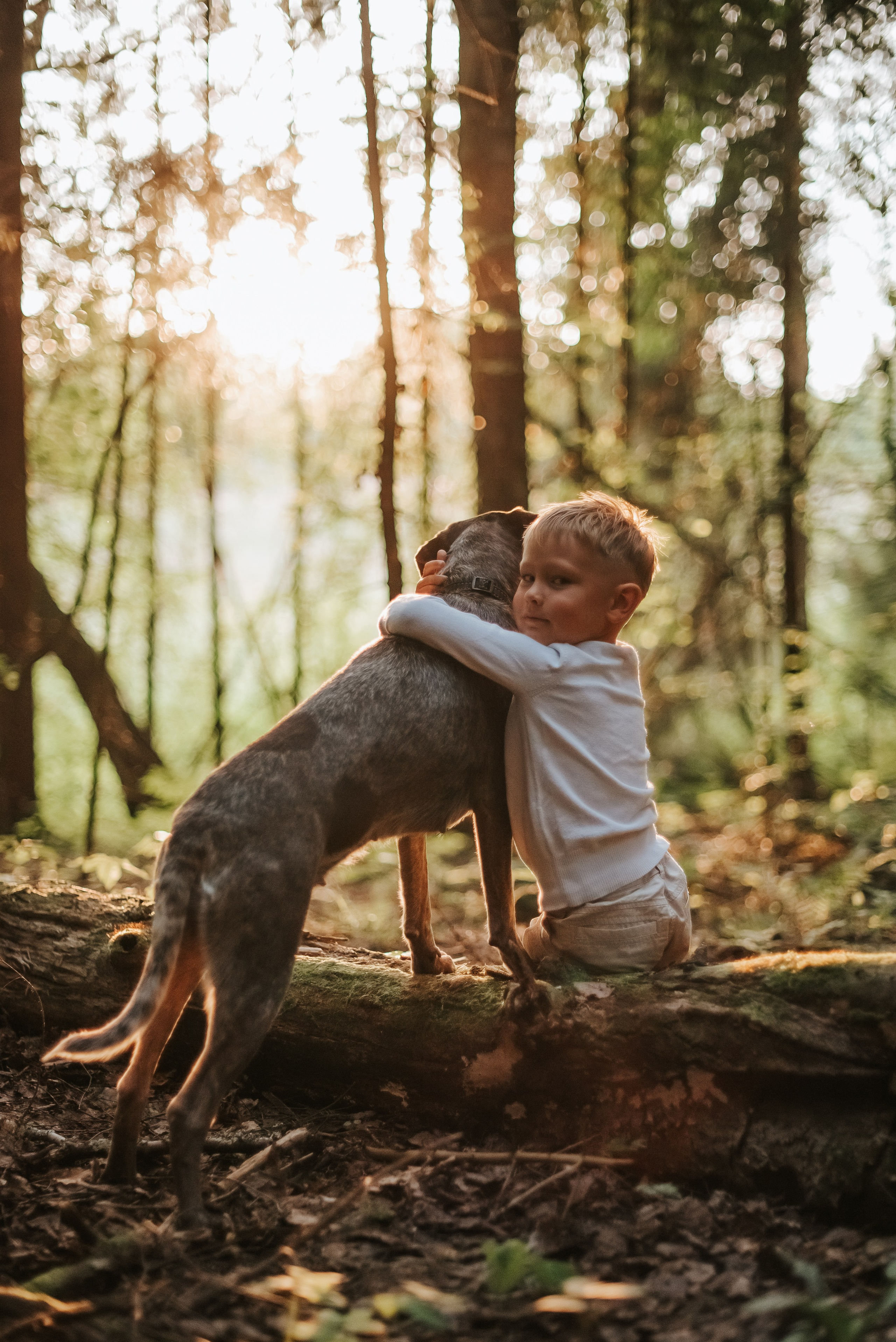 Витя и Кофи. Фотограф-анималист Валерия, Москва, Мытищи