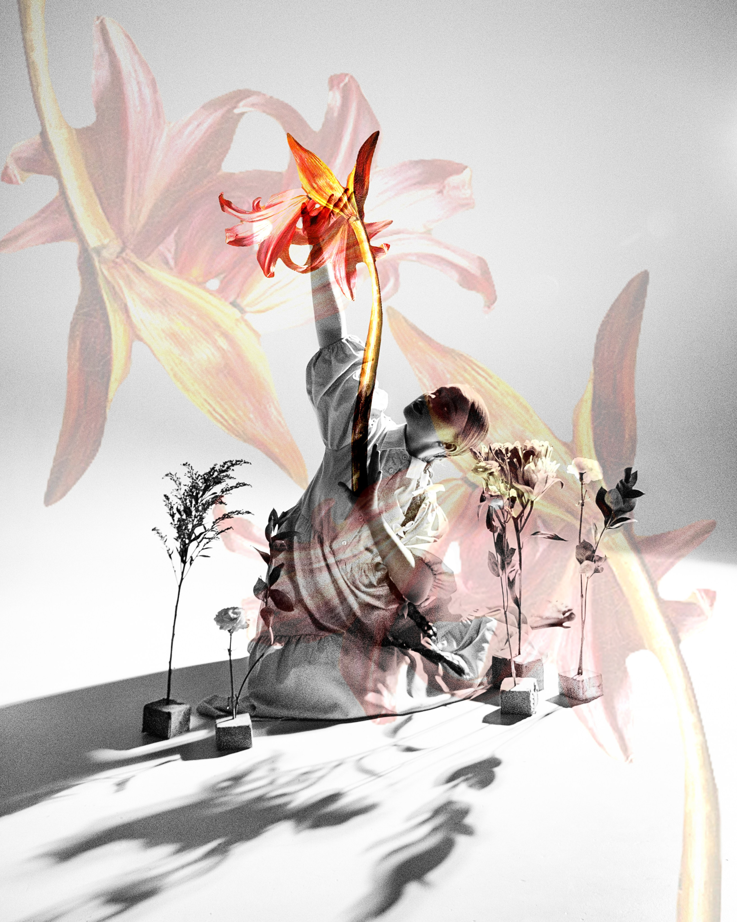 Sofa. Блиновская Дарья|Арт-фотограф