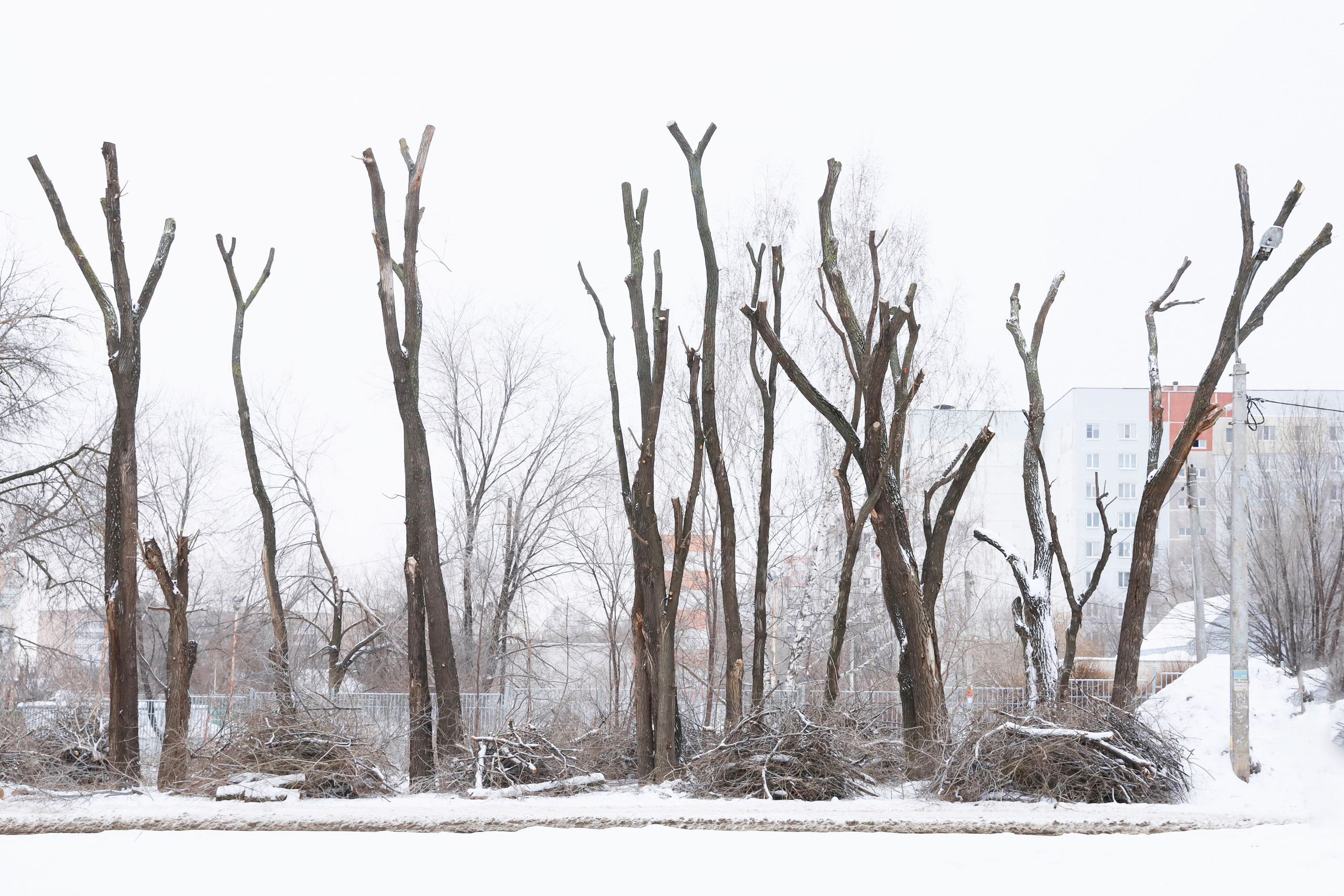 Кронирование. Главная