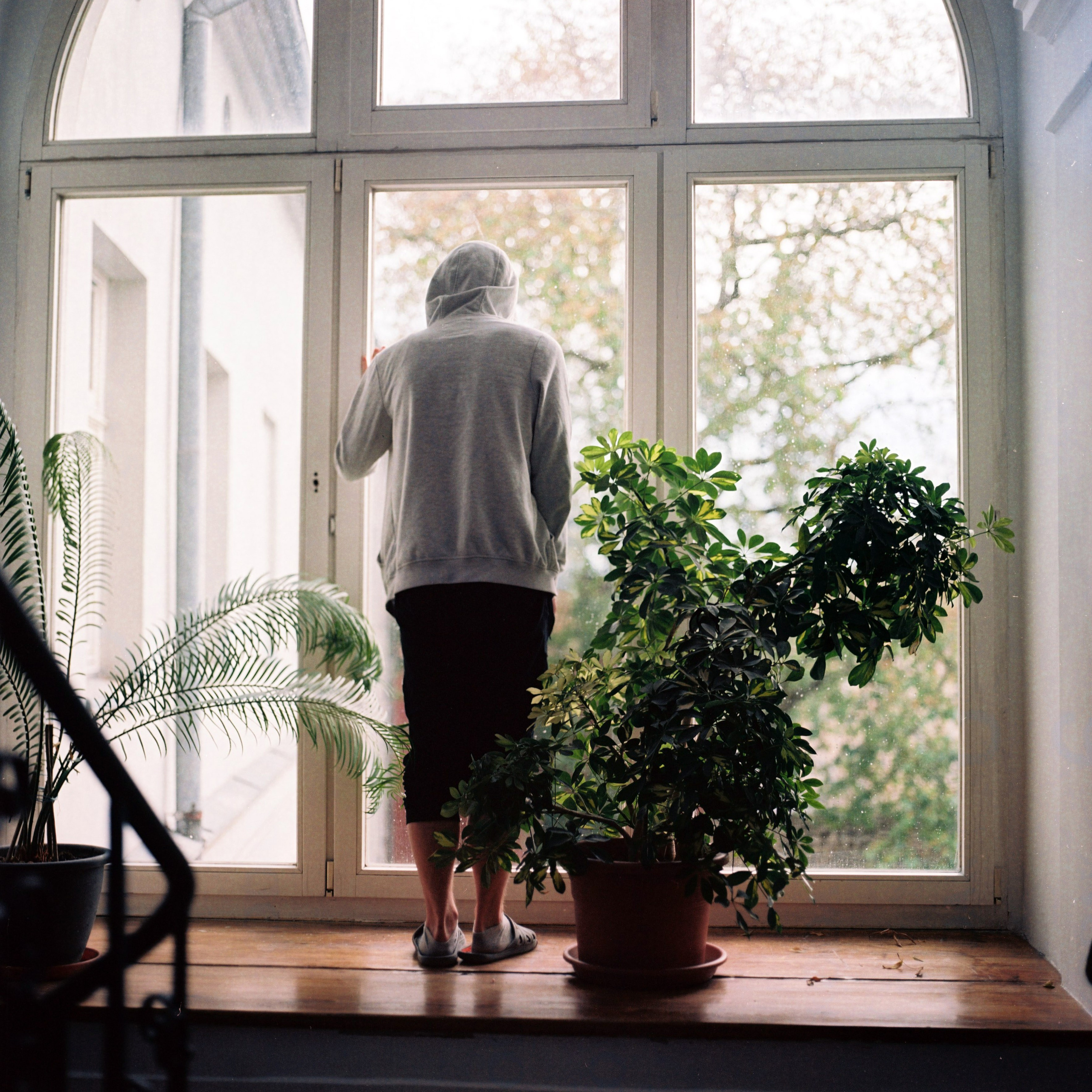 Growing pains. Photographer, Documentary and Art