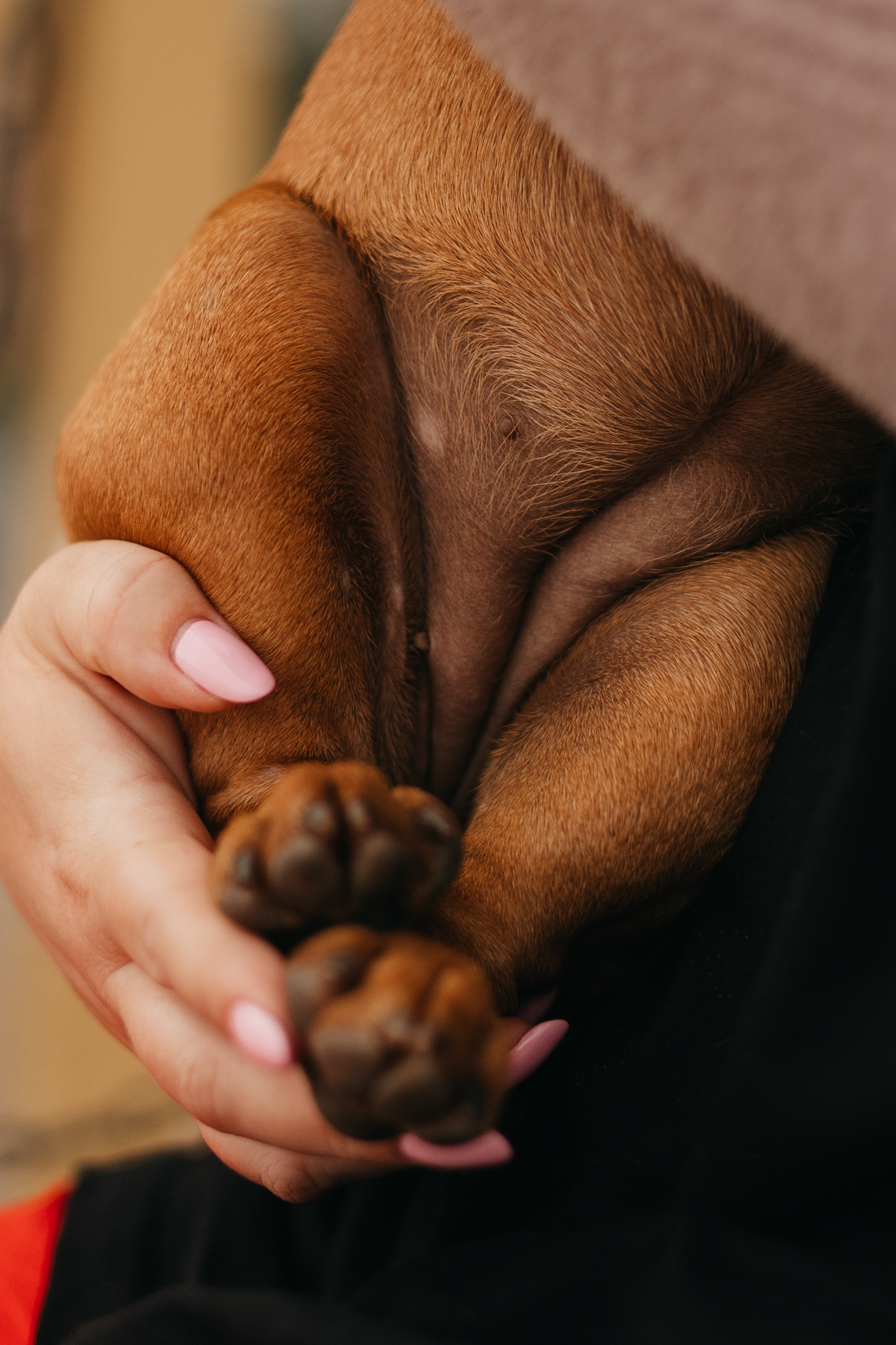 Дарья и Бонита. Фотограф животных Евгения Верцинская