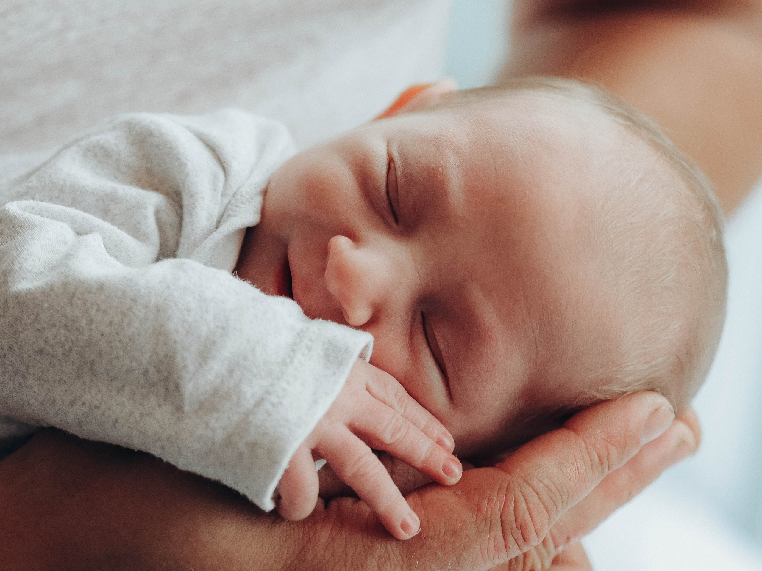 Любовь и котики. Мультифотограф Динара Ахмедзянова