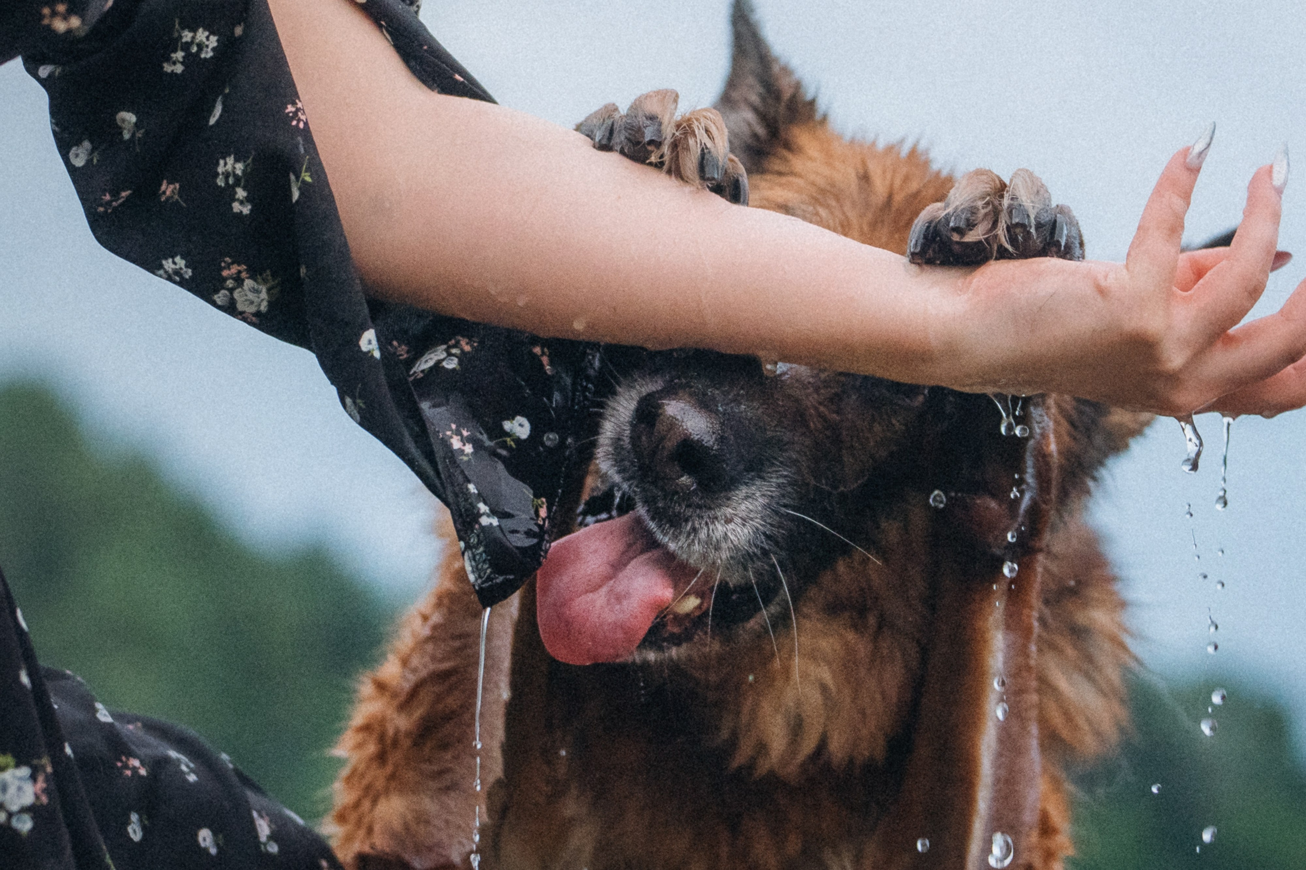 Вика и Фрея. Фотограф анималист в Москве и Санкт-Петербурге Свиридова Анна