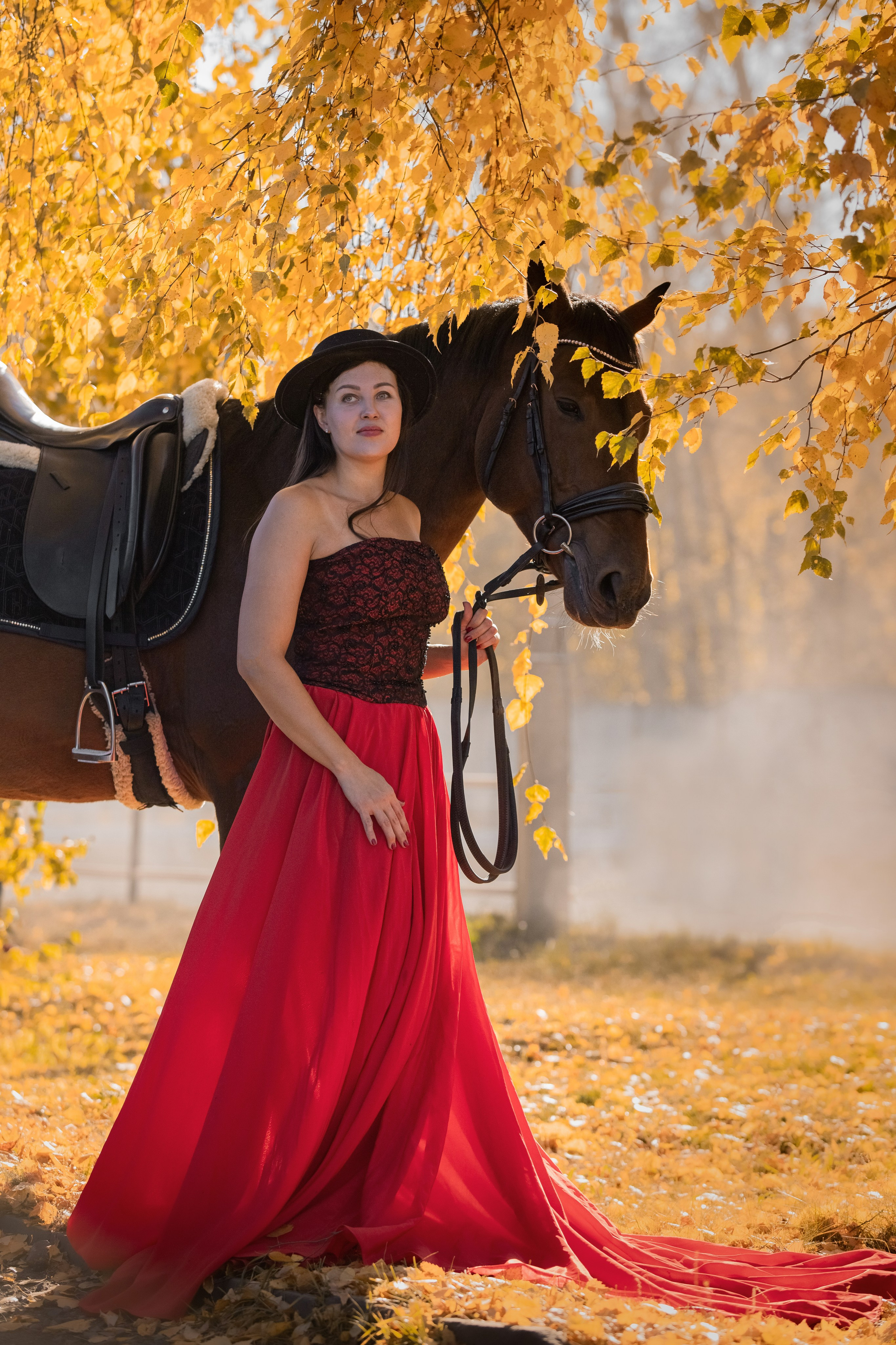 Человек и Лошадь. Главная