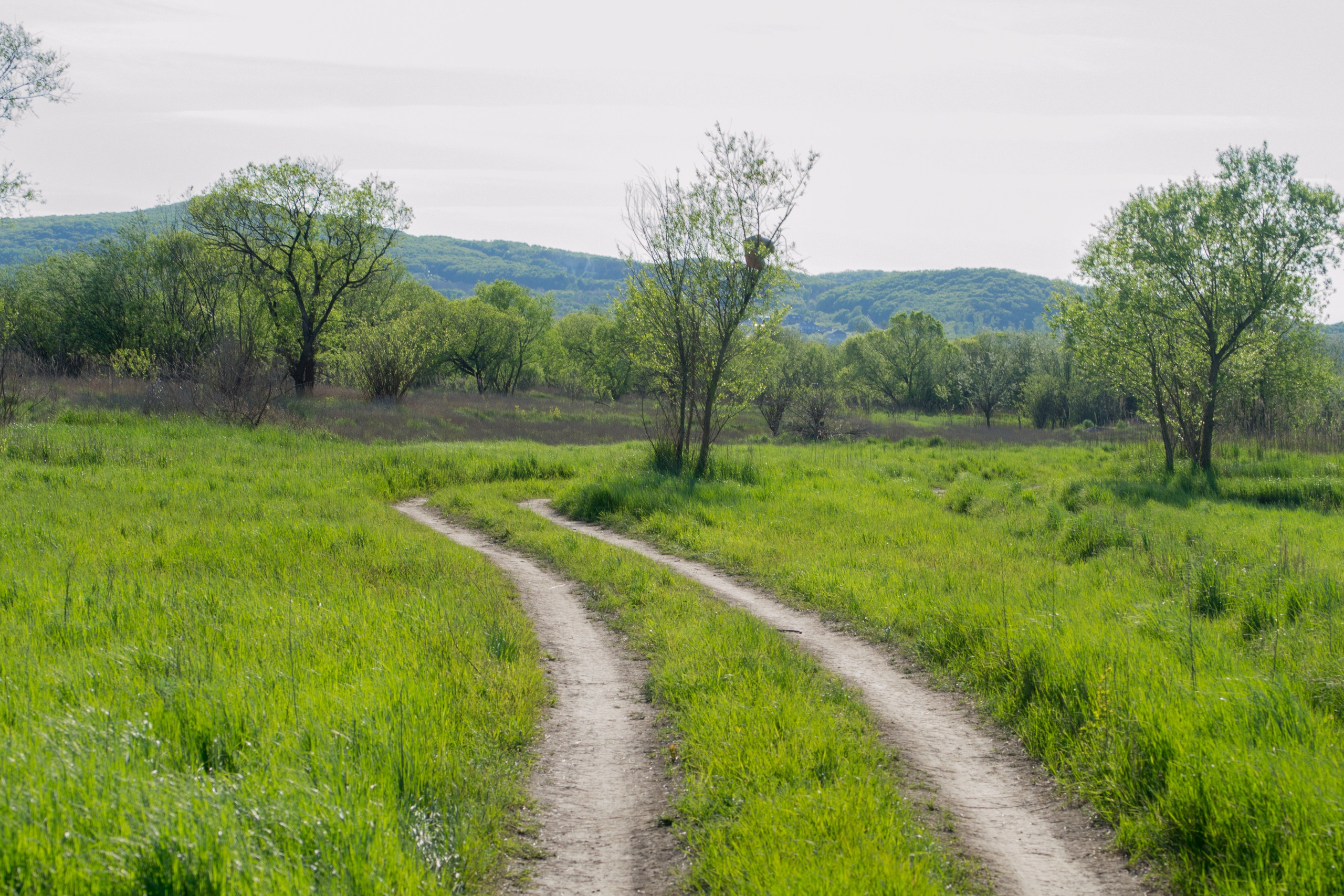 дачи, город, архитектура, стрит, репортажная фотография, фотография, Хабаровск, фотосессия, фотограф, дом, новостройка, улицы, жизнь города, town, art, photo, photographer, photo, Khabarovsk, Far East, street photo, природа, Дальний Восток, тайга, цветы, закат, небо, облака, nature, clouds, forest, flower, sunset, river, река