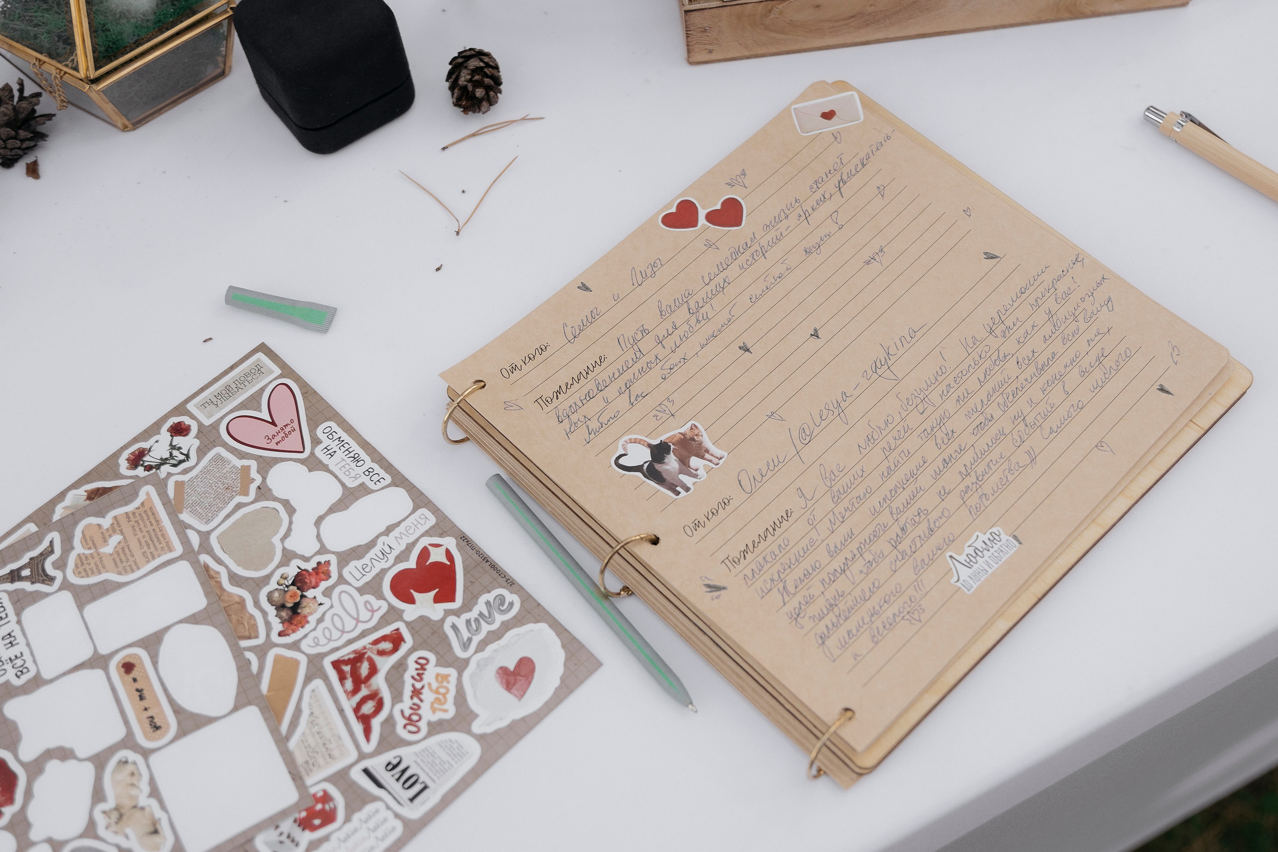 Всеволод и Алина. DARYA.BELKINA