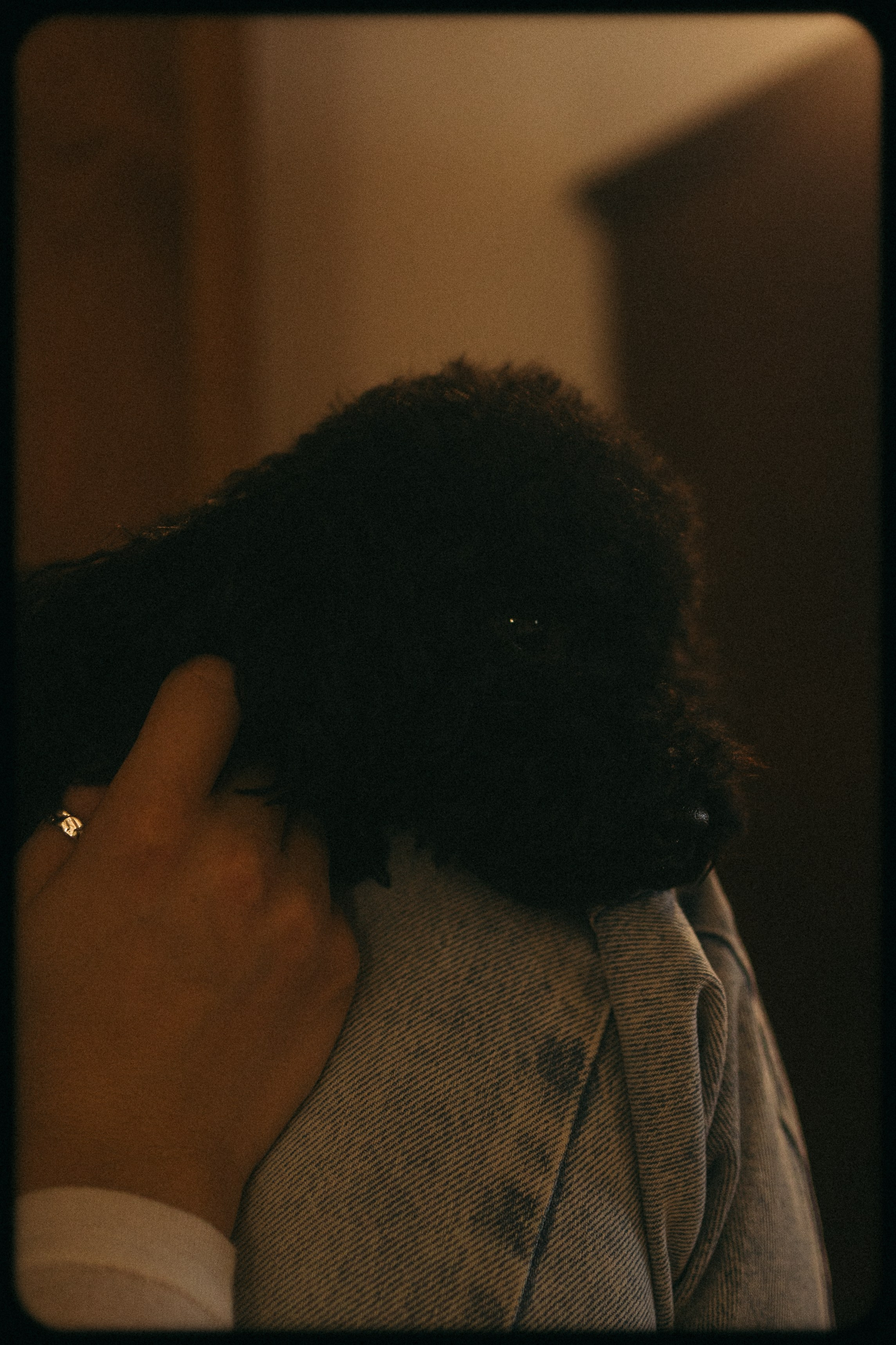 Полина и Мия. Фотораф — анималист Мария Шистка