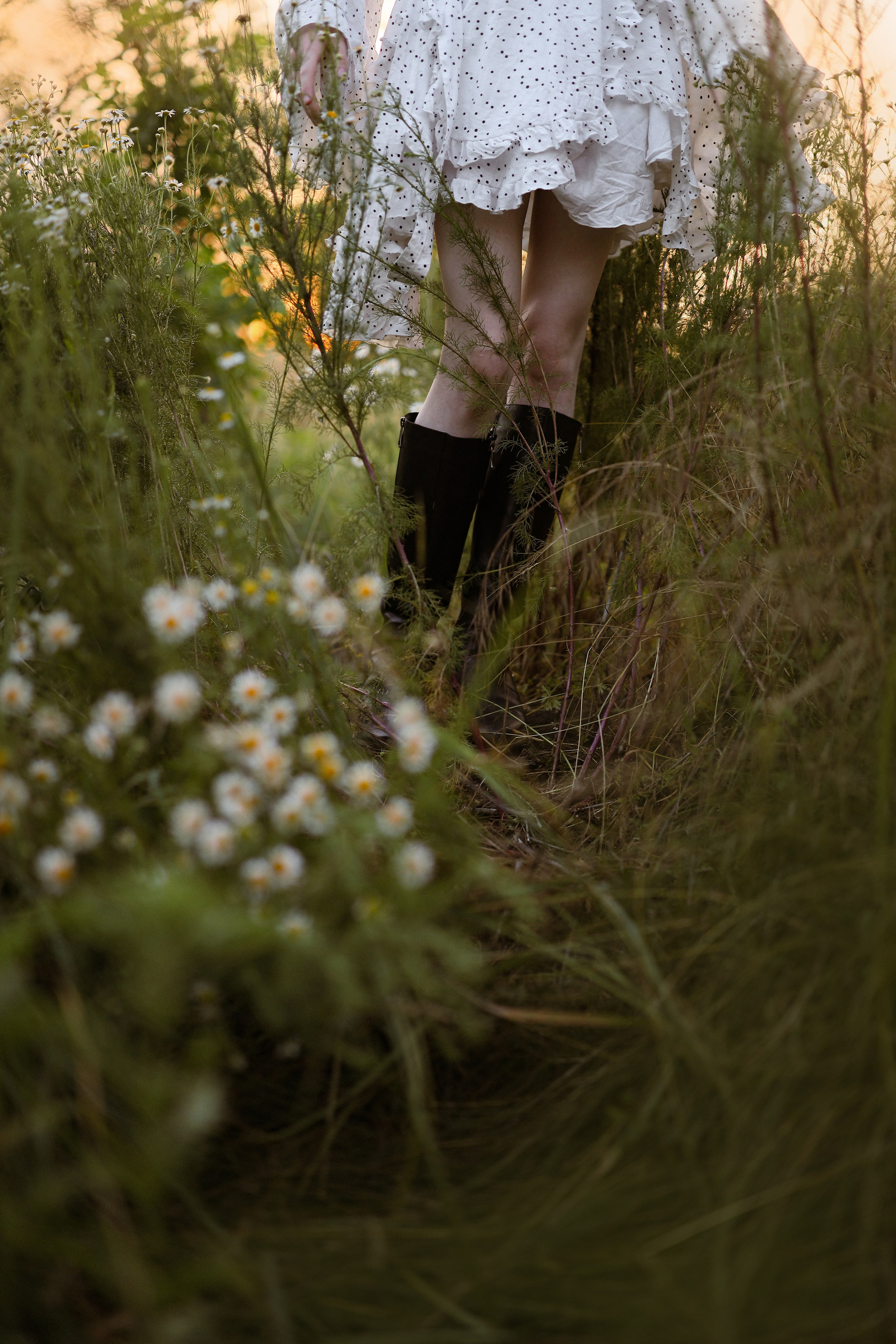 Камилла в поле ромашек. Свадебный и семейный фотограф в Абхазии Жанна Соснина