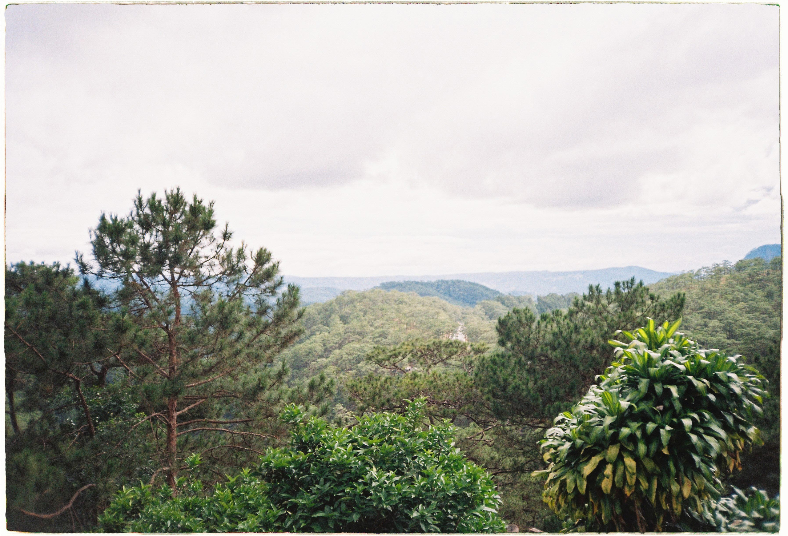 Dalat 2024. Film Photographer in Da Nang, Vietnam — Tanya Parfenteva