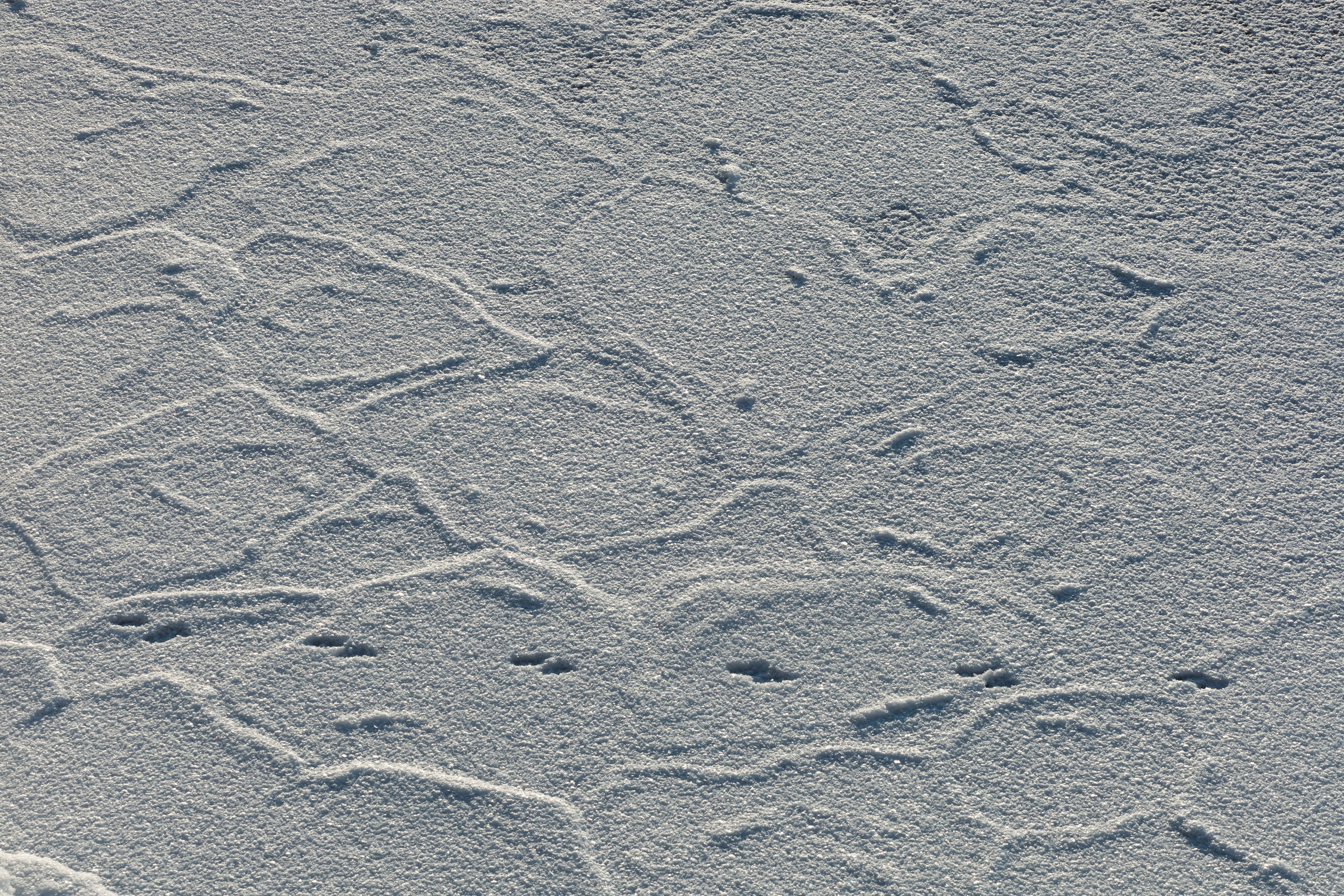 Байкал. Фотограф в Красноярске Оксана Корчагина