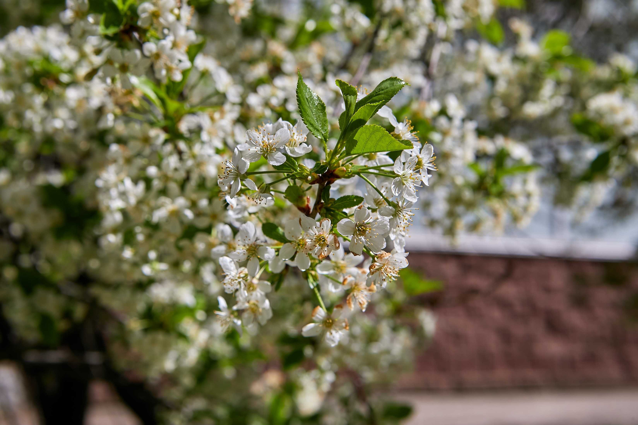 Видовые фото УГНТУ. УГНТУ — Ведущий нефтегазовый вуз России