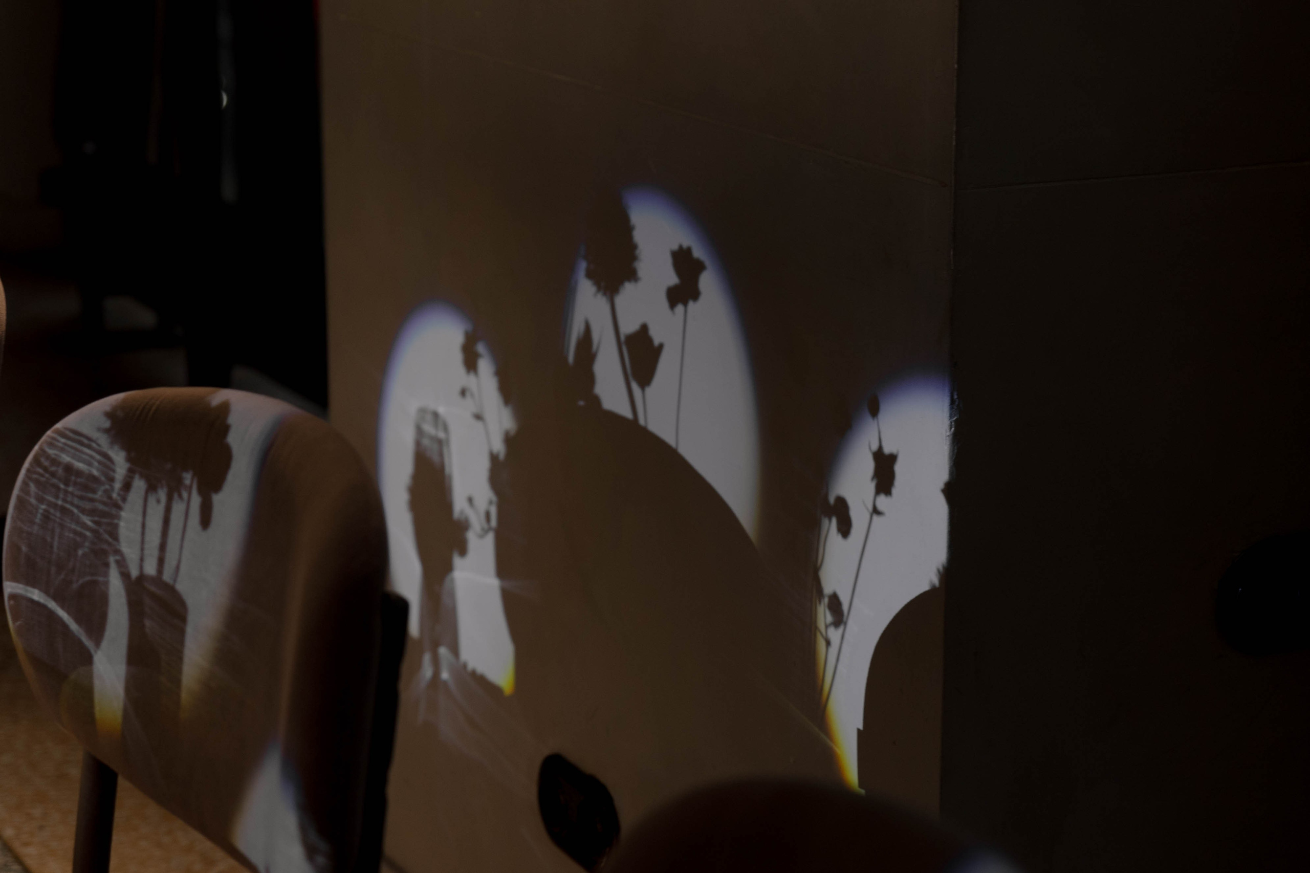 Сергей и Анна: классика в Петербурге в теплой компании близких. @dariazphoto свадебный фотограф