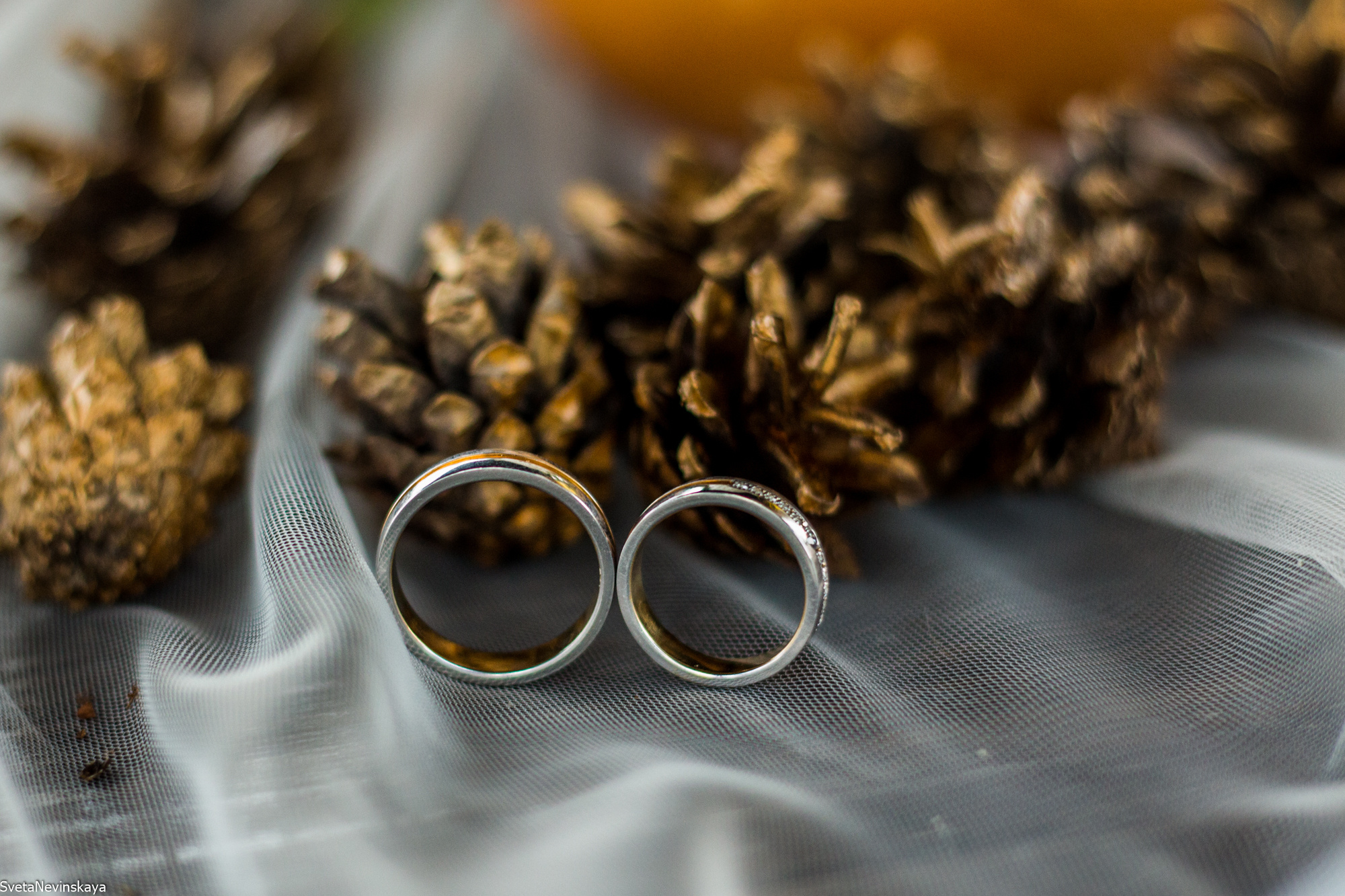 Свадебный фотограф Светлана Невинская