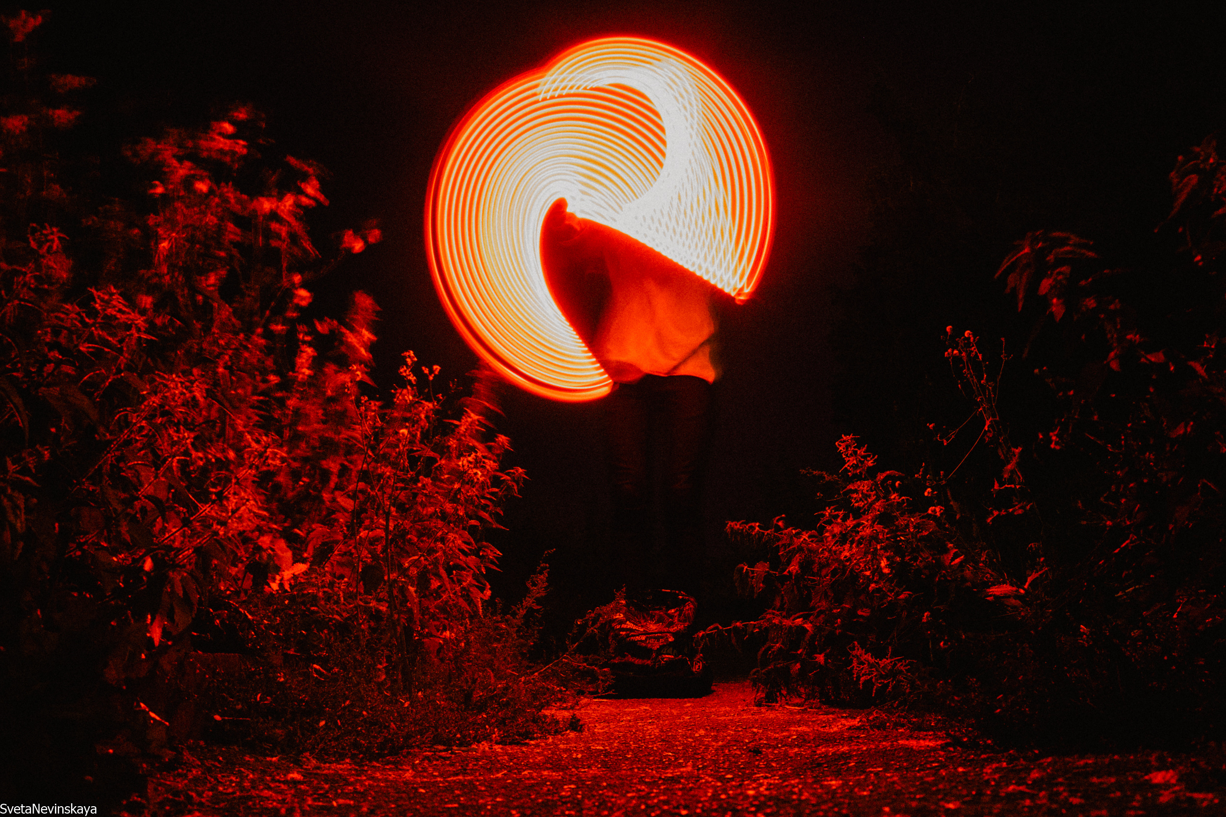 Никита. Свадебный фотограф Светлана Невинская