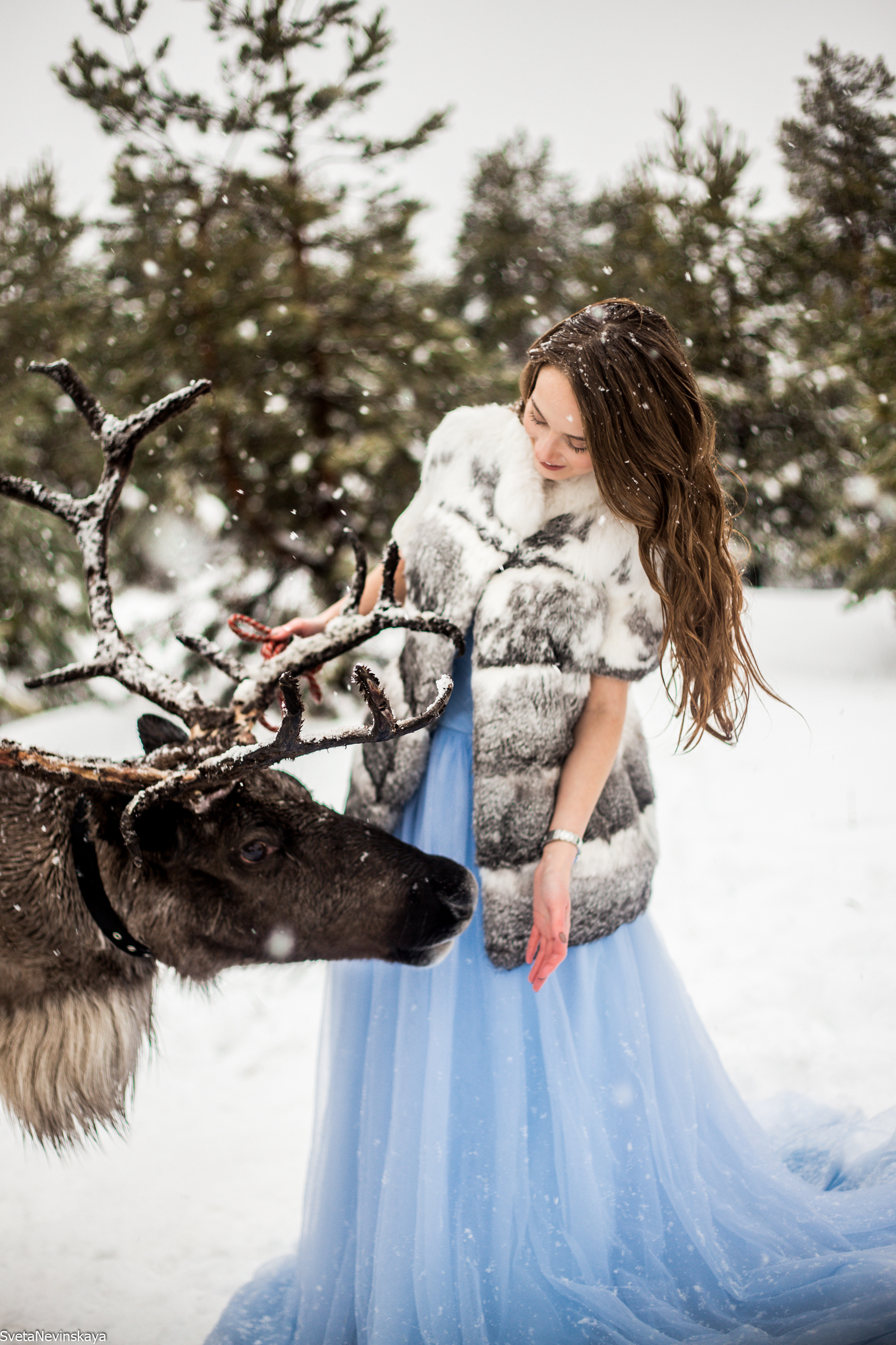 Другие фото. Свадебный фотограф Светлана Невинская