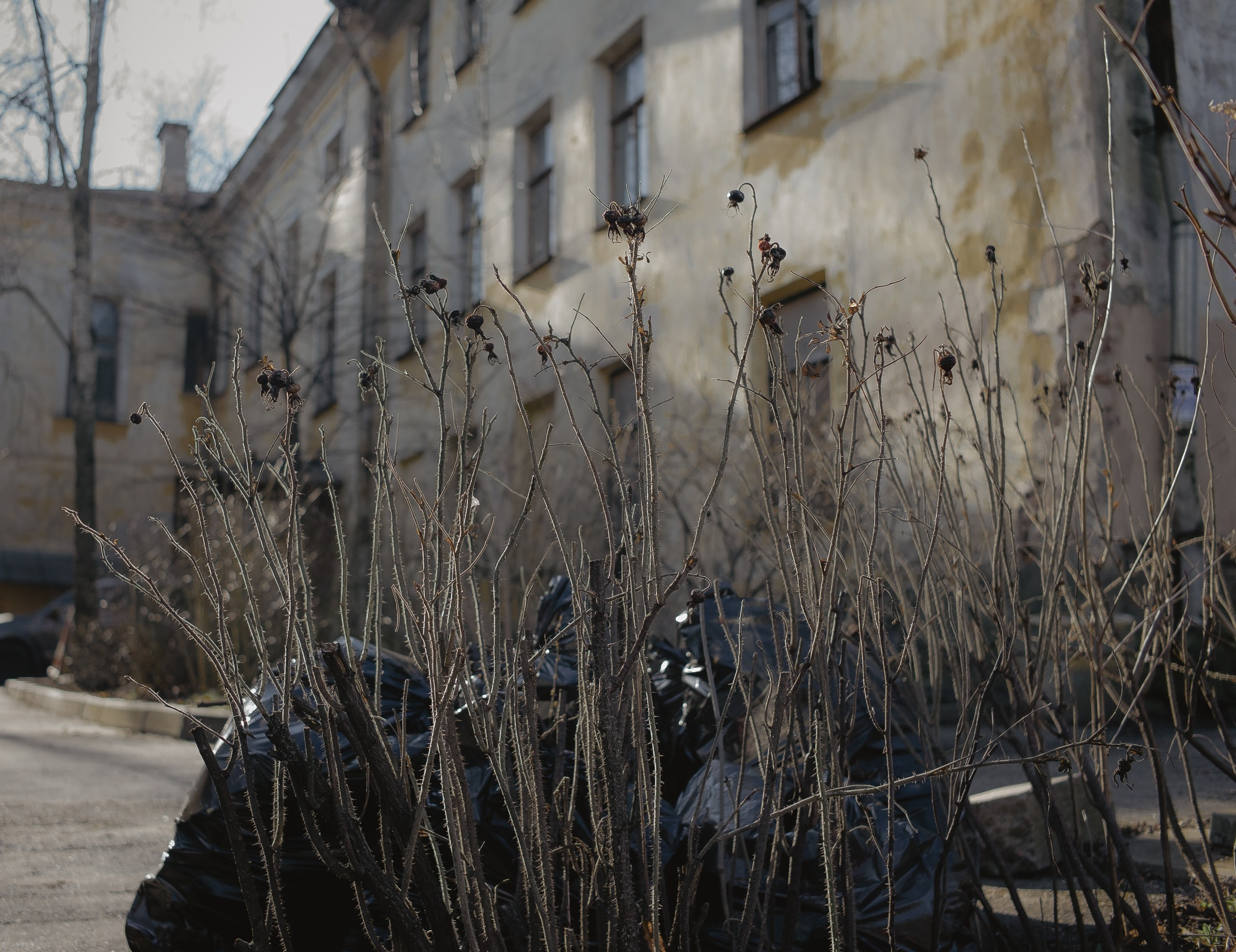 Питер. Фотограф Cyberkyrie