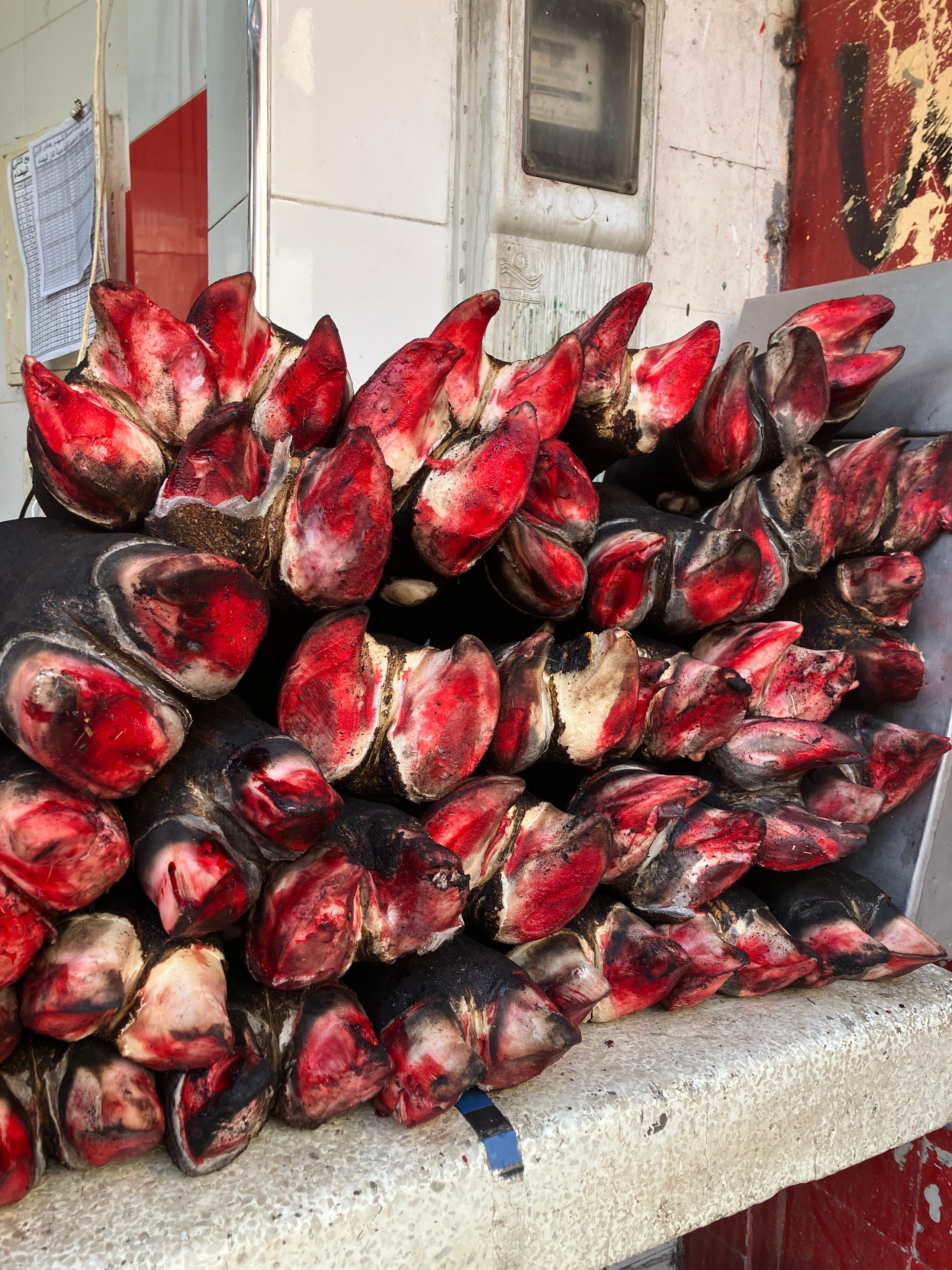 Ph: Максим Б.