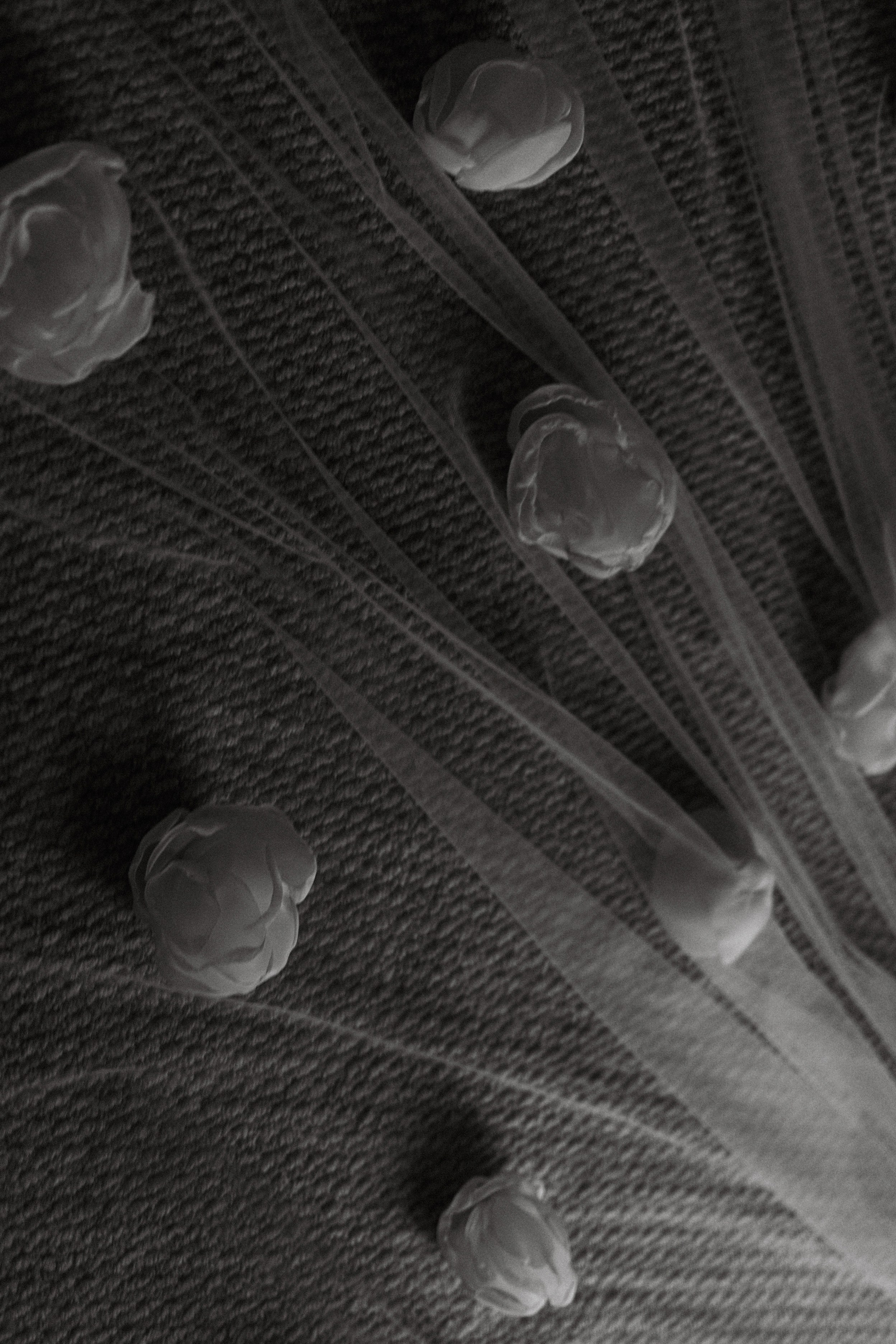 Наши чувства привели нас к Раю