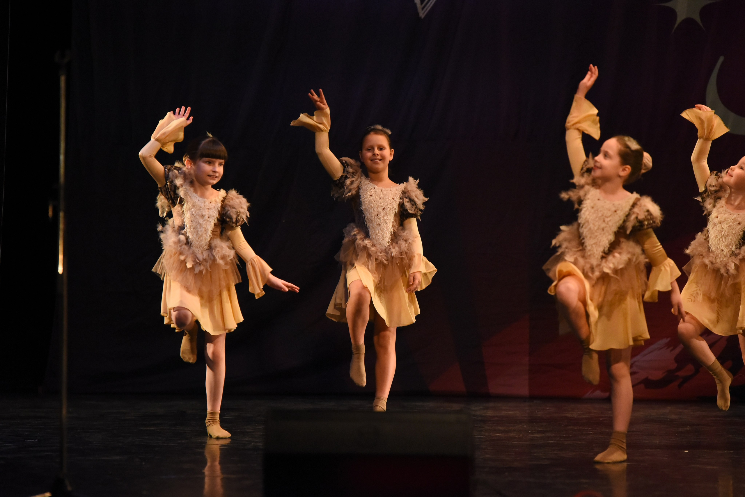 13 декабря, г. Калининград. Золотое яблочко