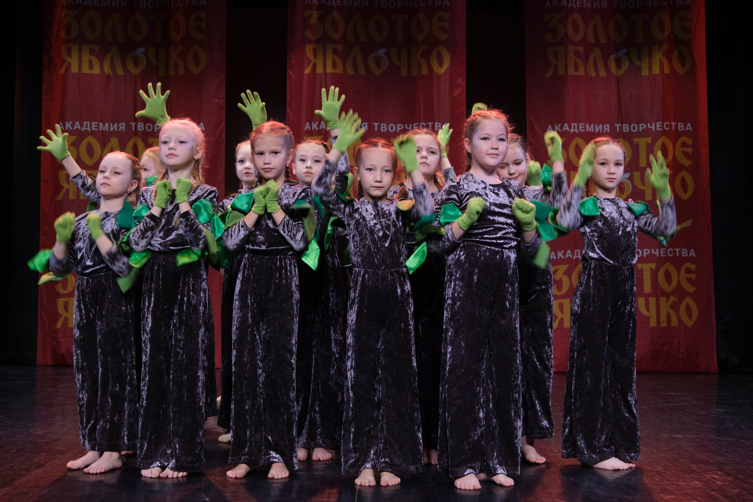 17 ноября, г. Великий Устюг. Золотое яблочко