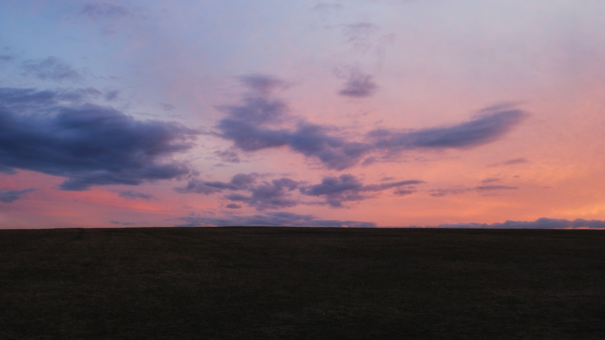 Этот прекрасный мир