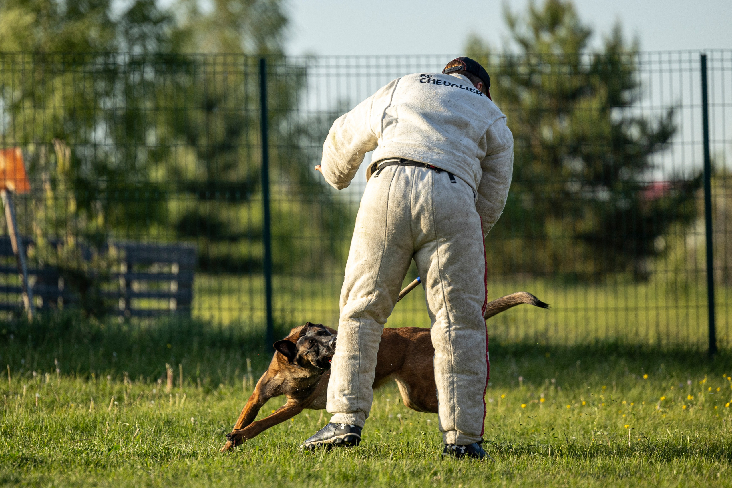 Испытания по мондьорингу в Нижнем Новгороде. Фотограф-анималист Анна Маринич