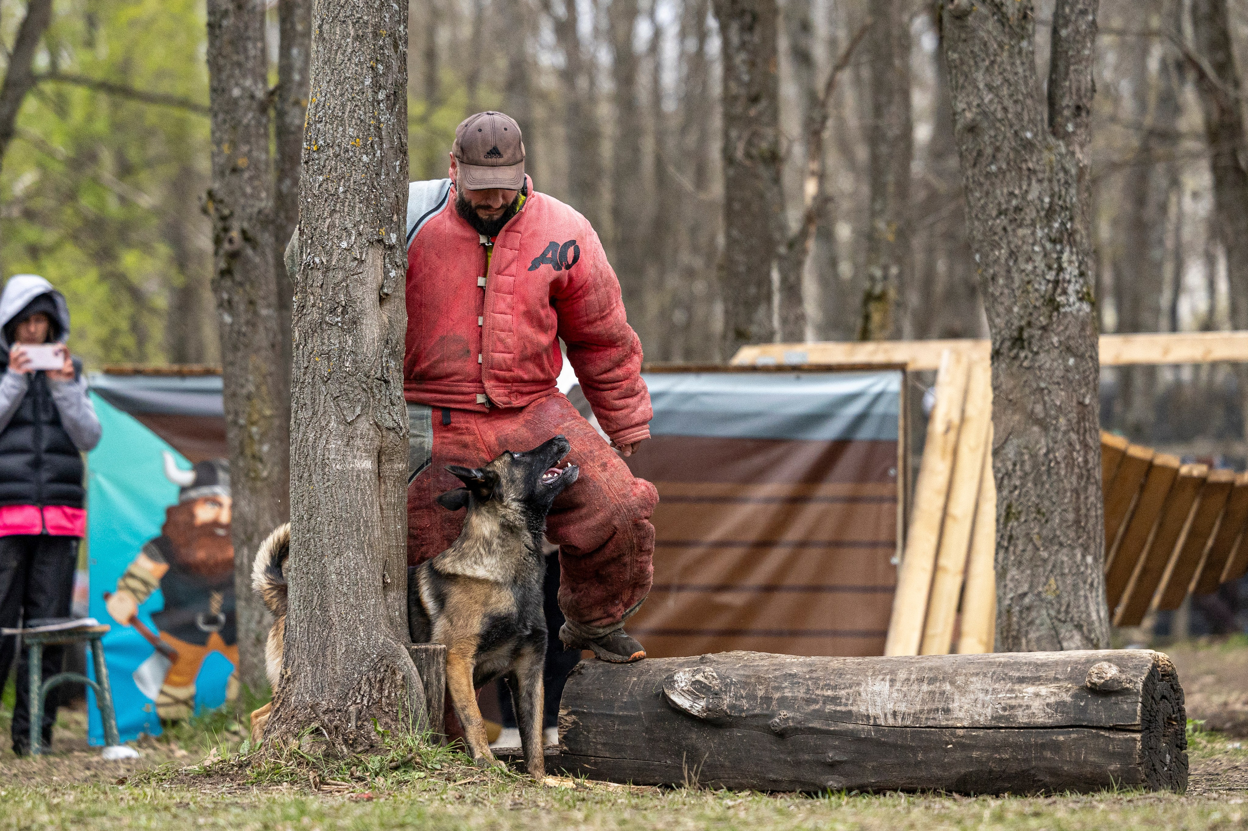 Квалификационные состязания по мондьорингу г. Вологда 11.05.24. Фотограф-анималист Анна Маринич