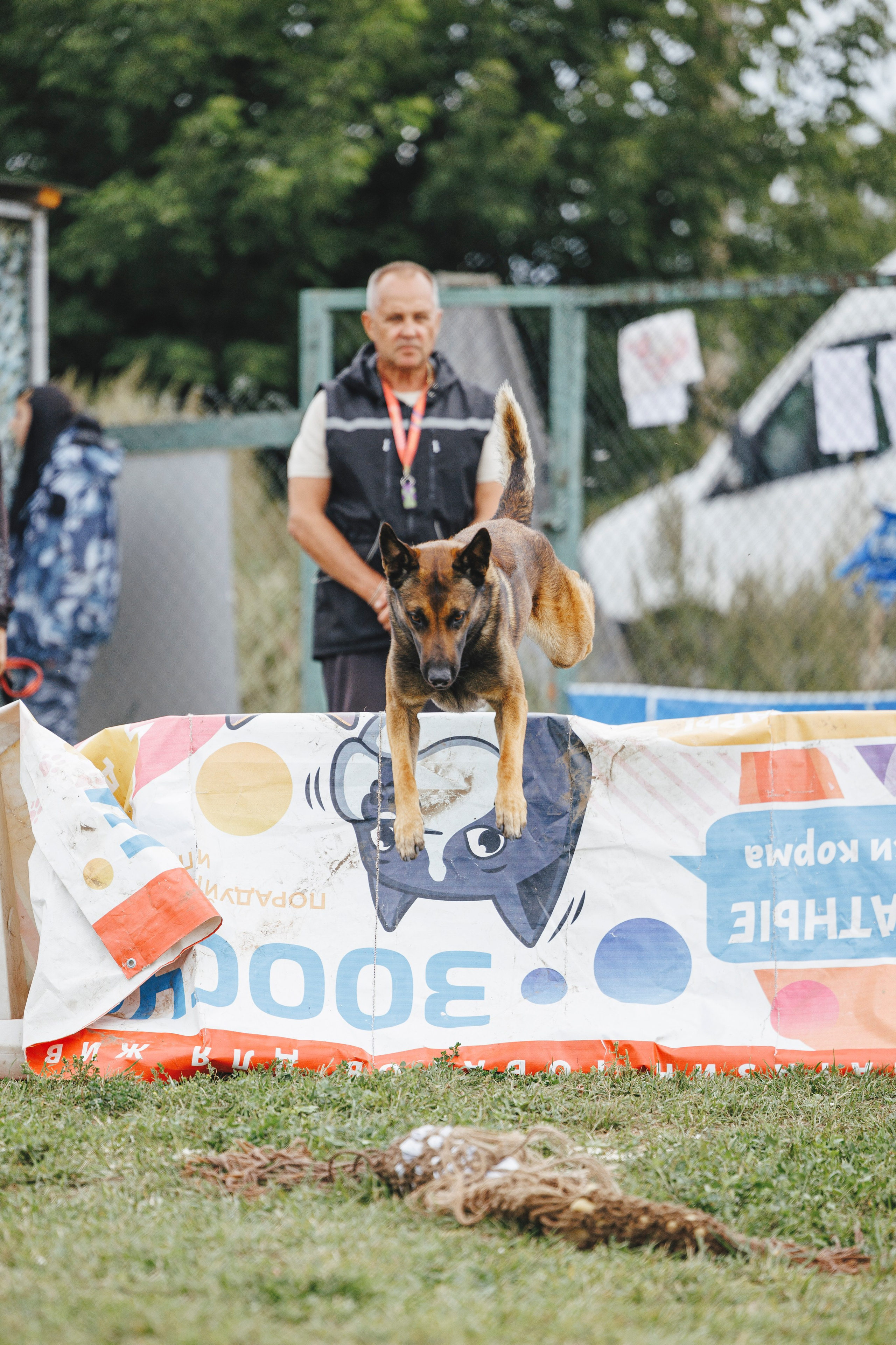 08.08.25-10.08.25 ЧР по мондьорингу г. Вологда. Фотограф-анималист Анна Маринич