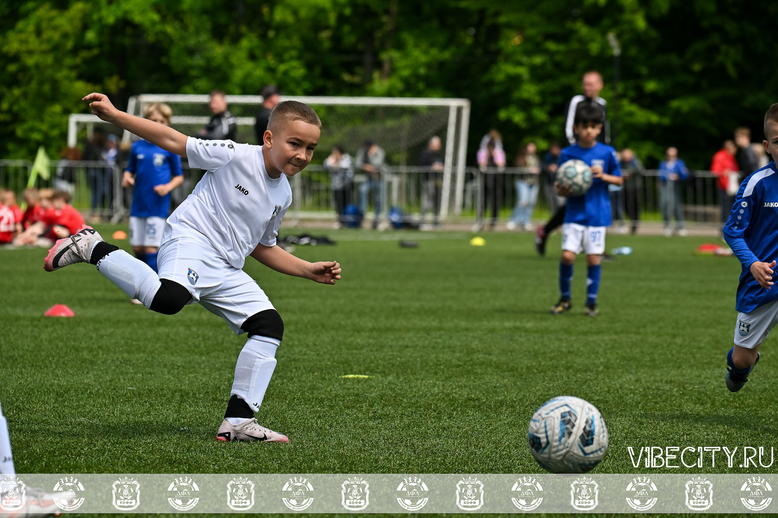 Большие Звезды светят Малым. VIBECITY.RU Вайб Сити Ру Фоторепортажи Фотоотчеты Калининград