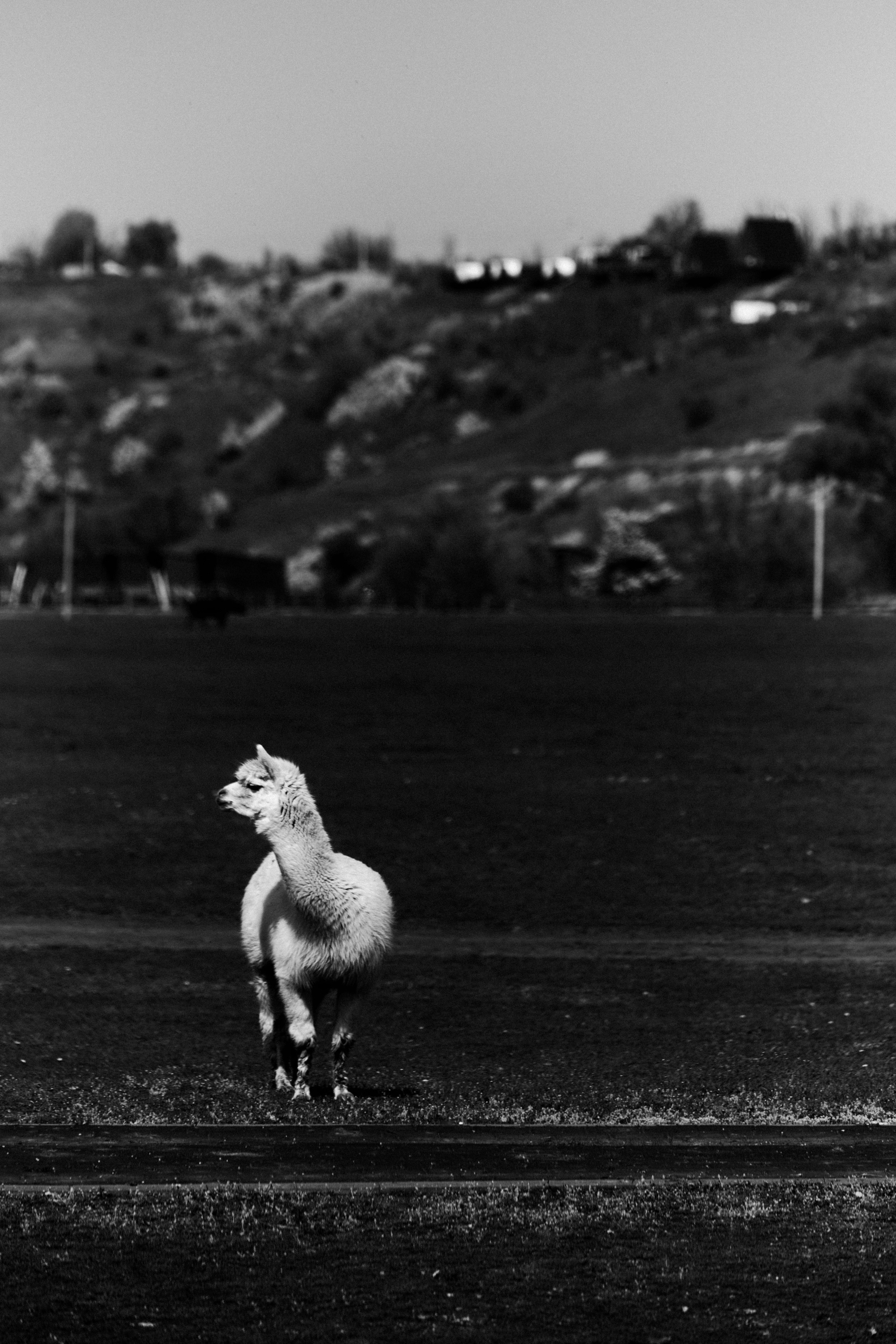 BAON x Кудыкина Гора. Фотограф Сурков Никита