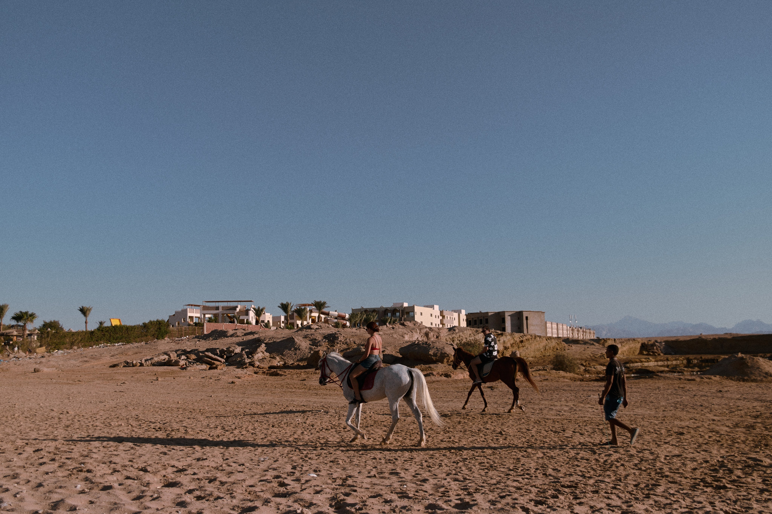 Лошадиная ферма. Jorgis — фотограф в Хургаде / обучение фотографии