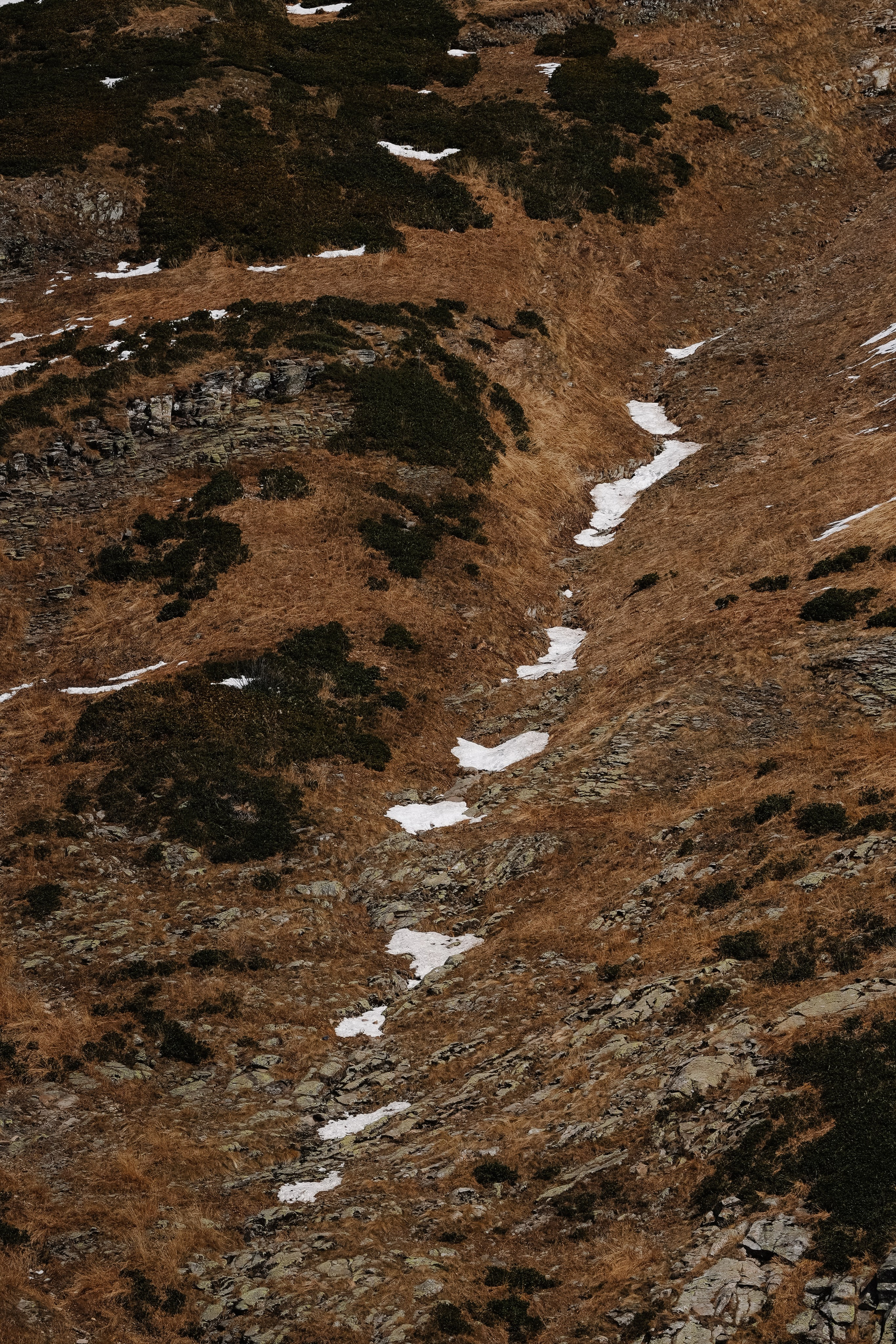 Роза Хутор ✽ Ноябрь. Репортажный фотограф | Роза Хутор Красная Поляна Сочи Сириус