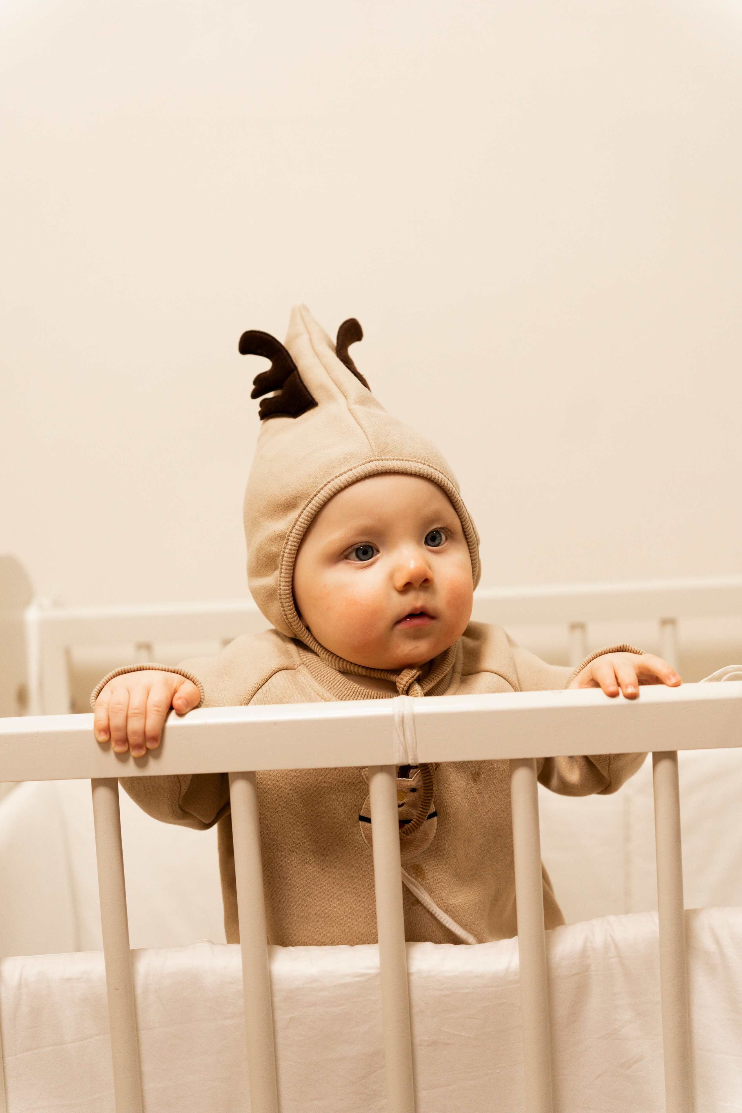 Новогодние тройняшки. Главная