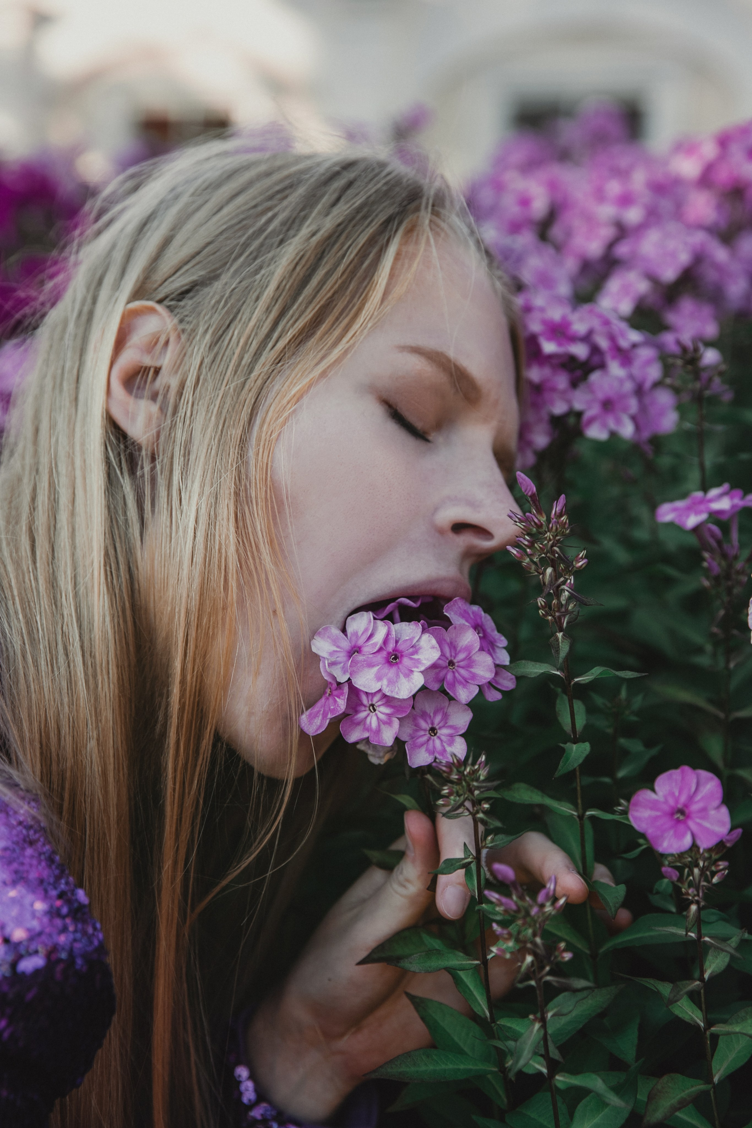 Ораниенбаум. Фотограф и ретушёр Мария Гущина