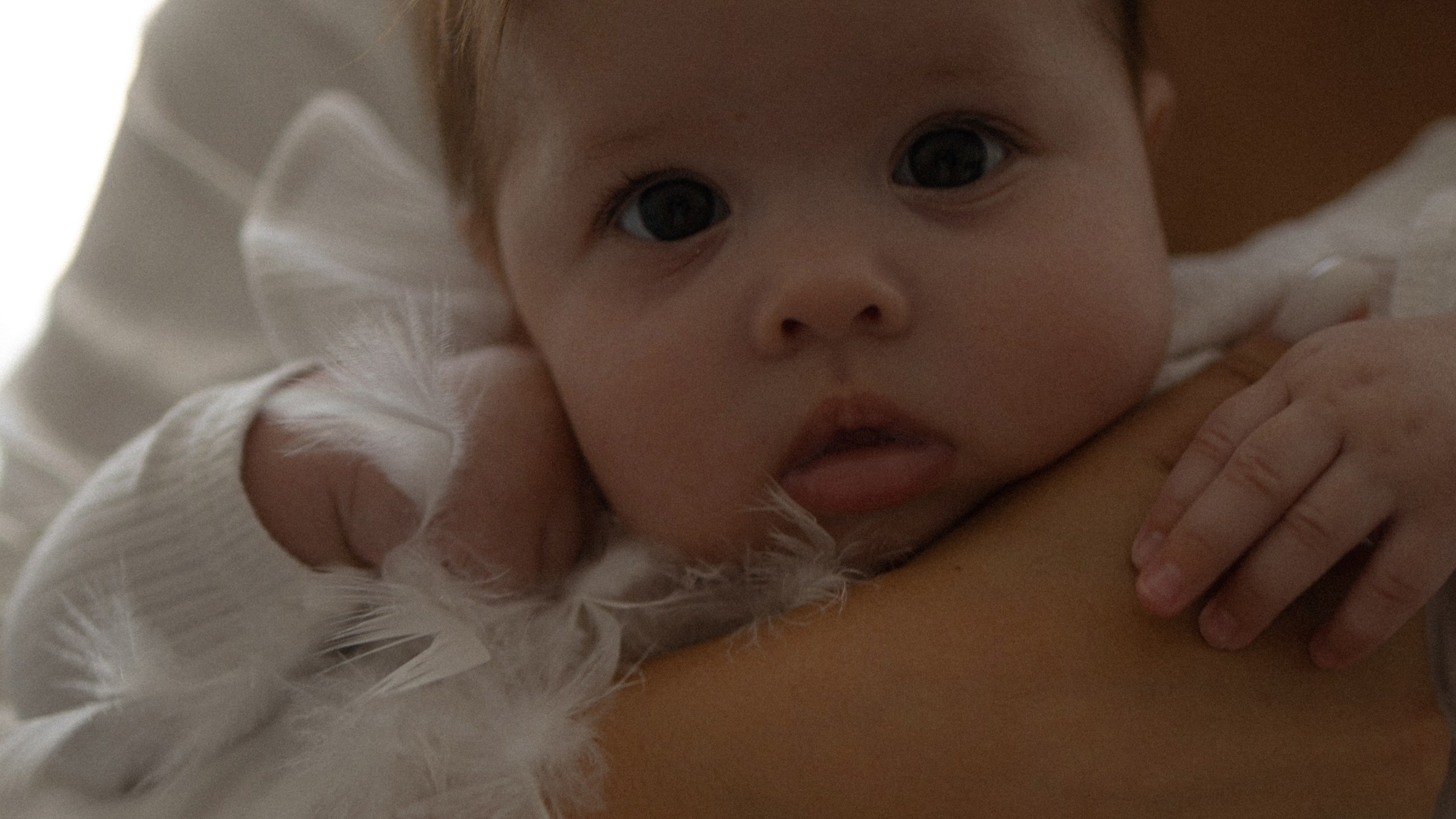 Усатый нянь. Фотограф Daria Wilner