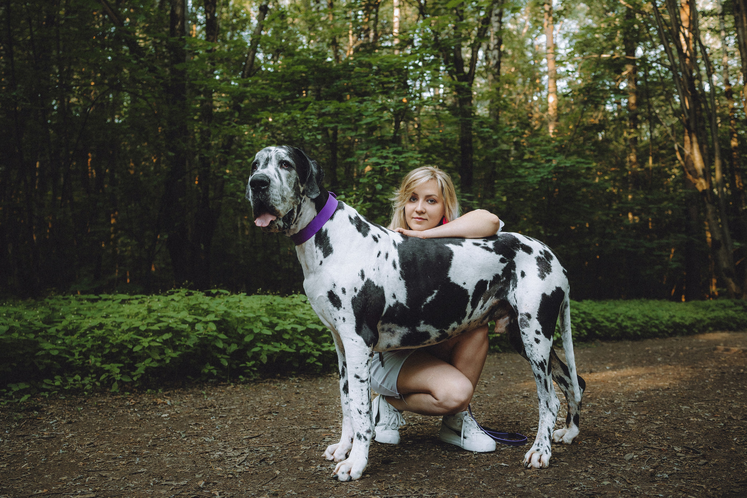 Катя, Андрей, Гектор, Ричи, Тортик и Трой