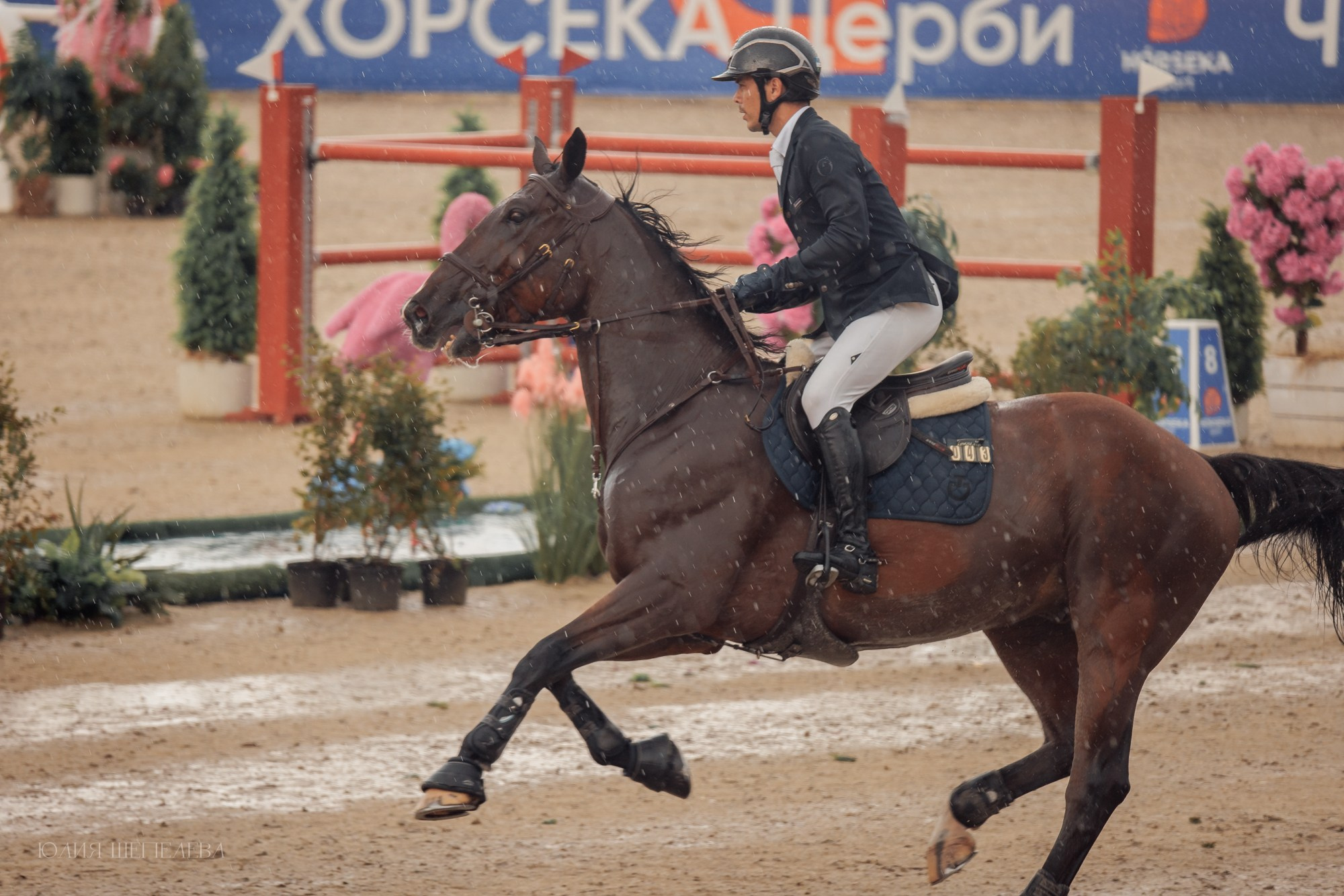 Дерби. Horseka 2024. Детская Конная фотография в Москве Юлия Шепелева