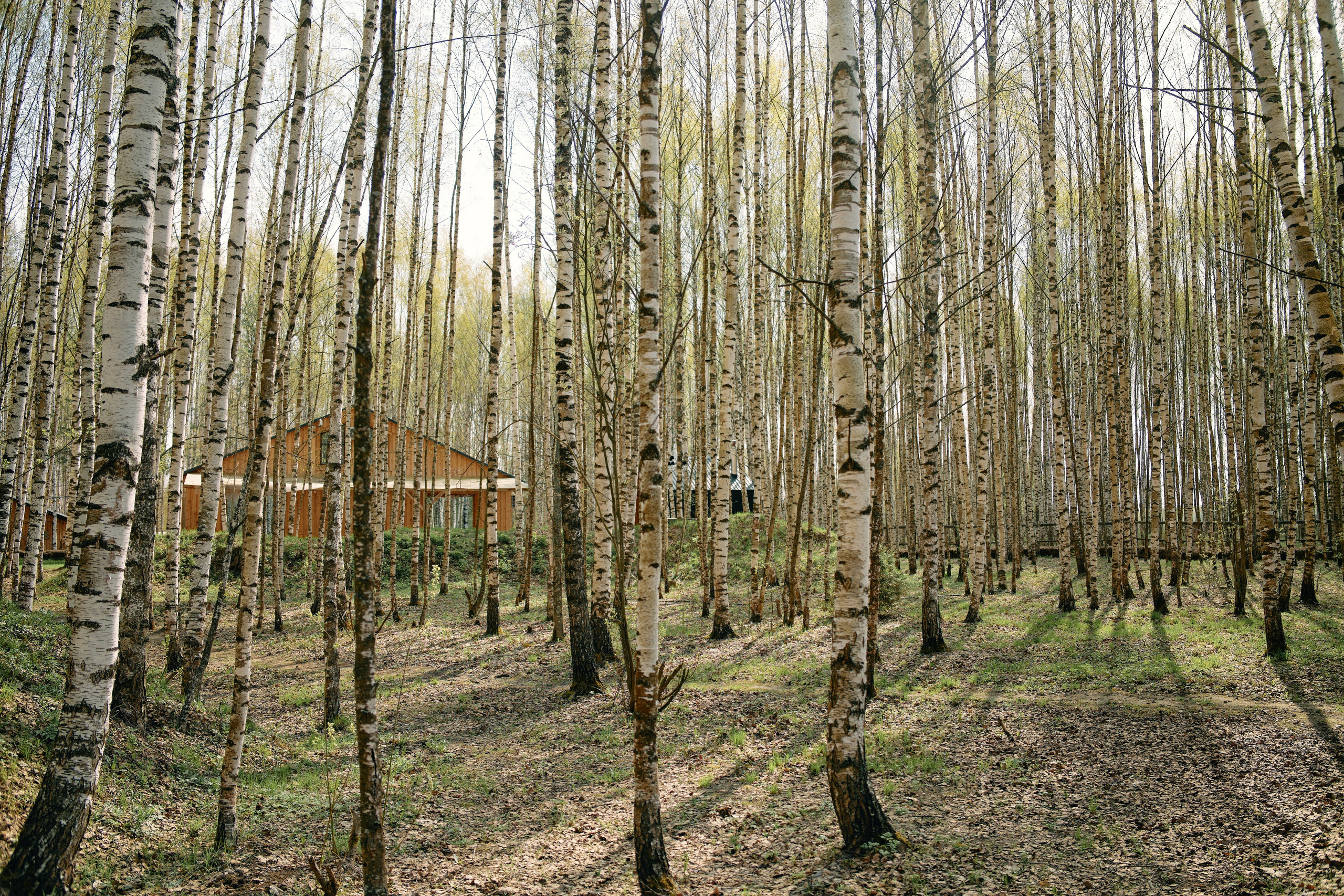 Бутик-отель Поле летом. Профессиональный Фотограф во Владимире, в Москве и в Суздале — Полина Романычева
