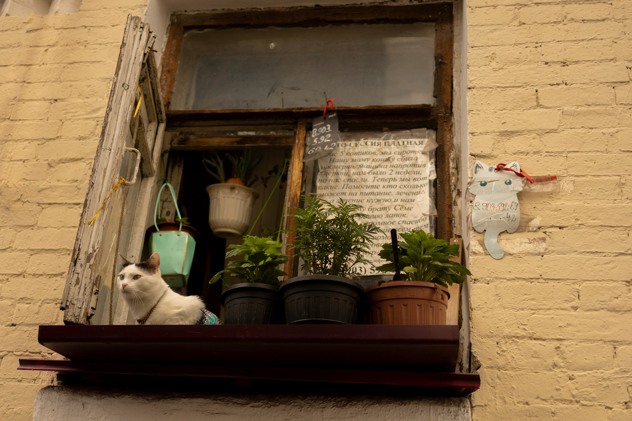 Viktoria&Inna. Семейный и детский фотограф, фотограф беременности, ньюборн в Москве