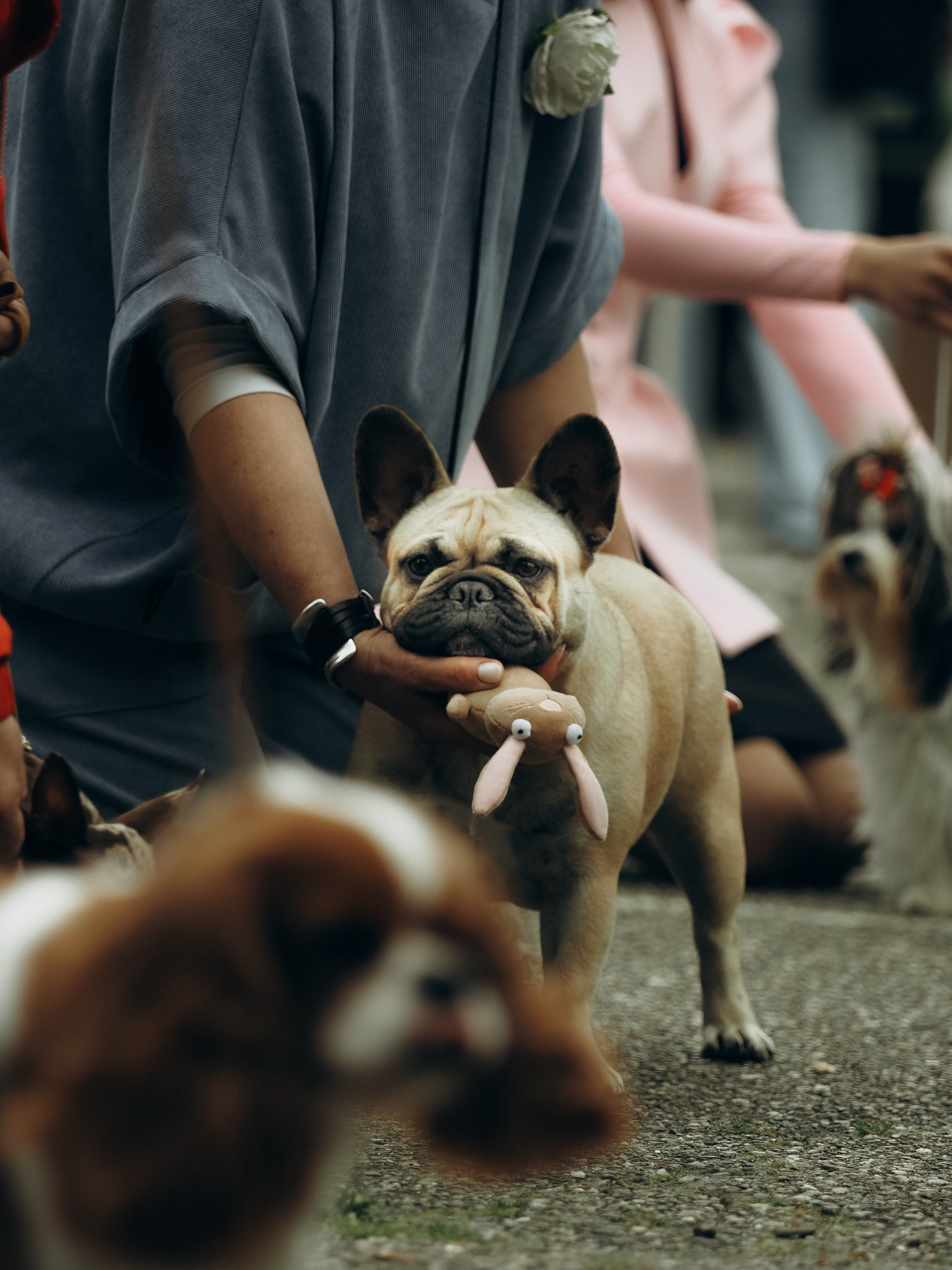 Фотограф анималист Тюгаева Мария