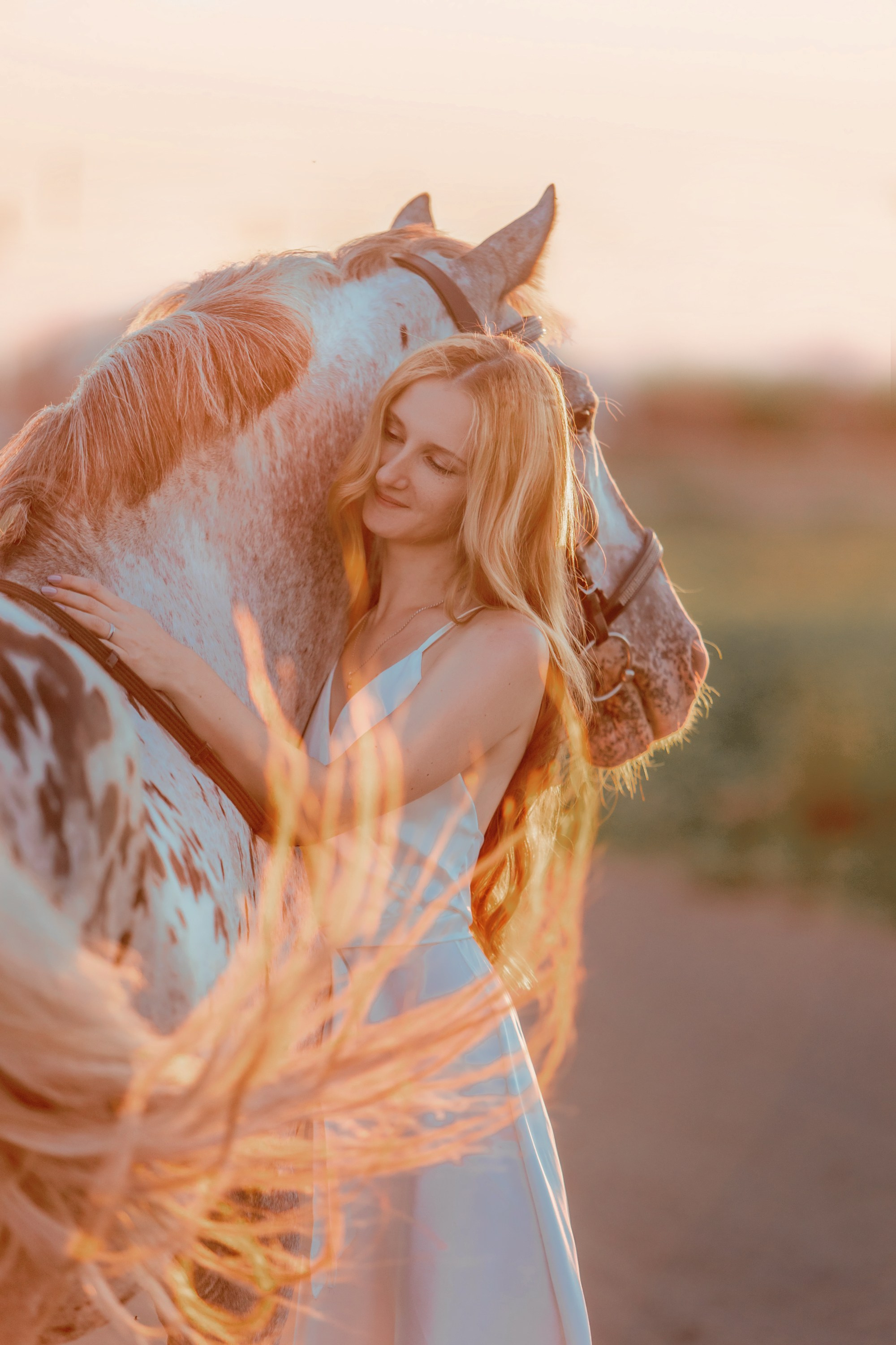 Фотосессии с лошадьми. Главная