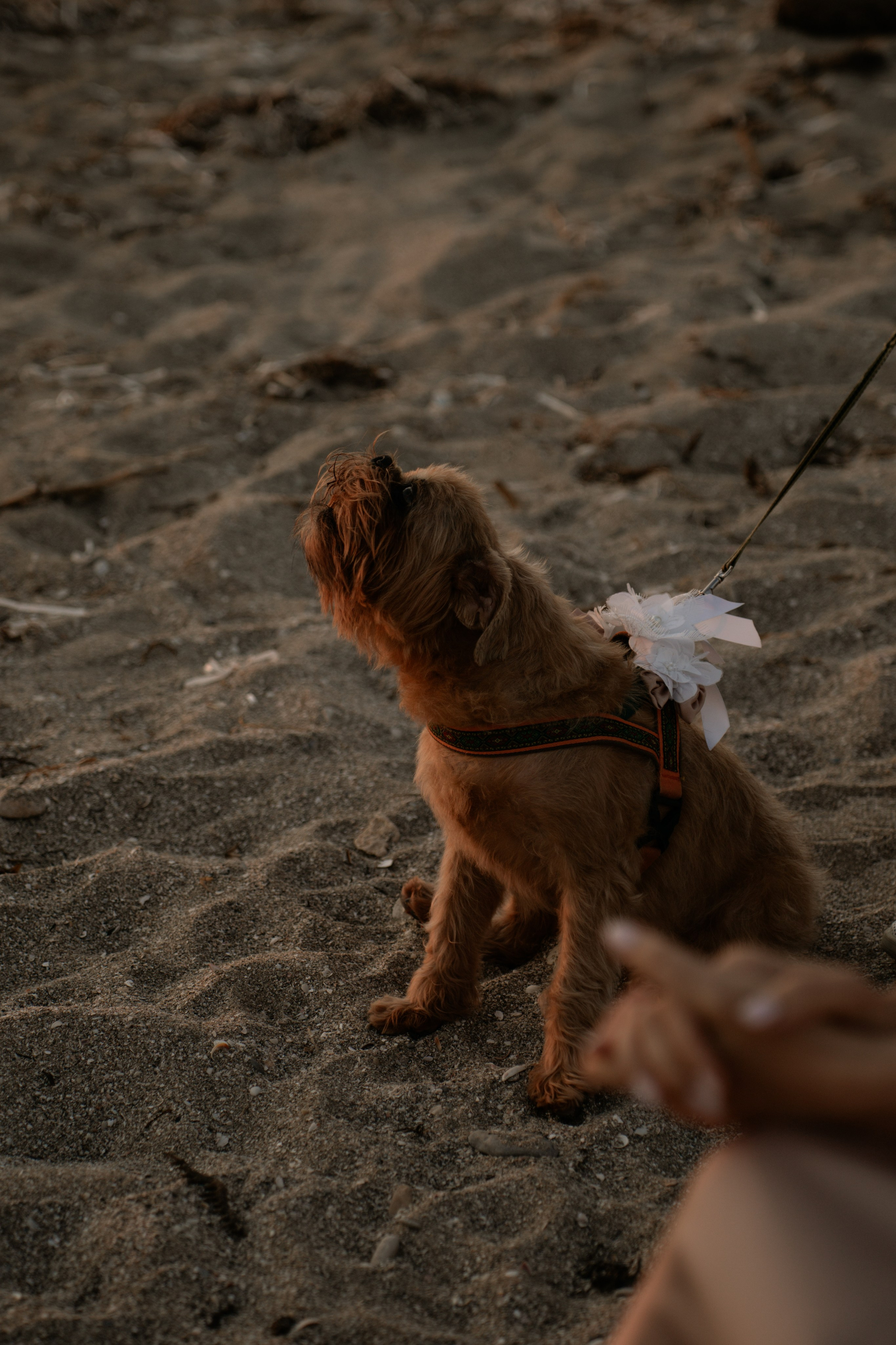 Z&A. Фотограф и Видеограф Севастополь Крым