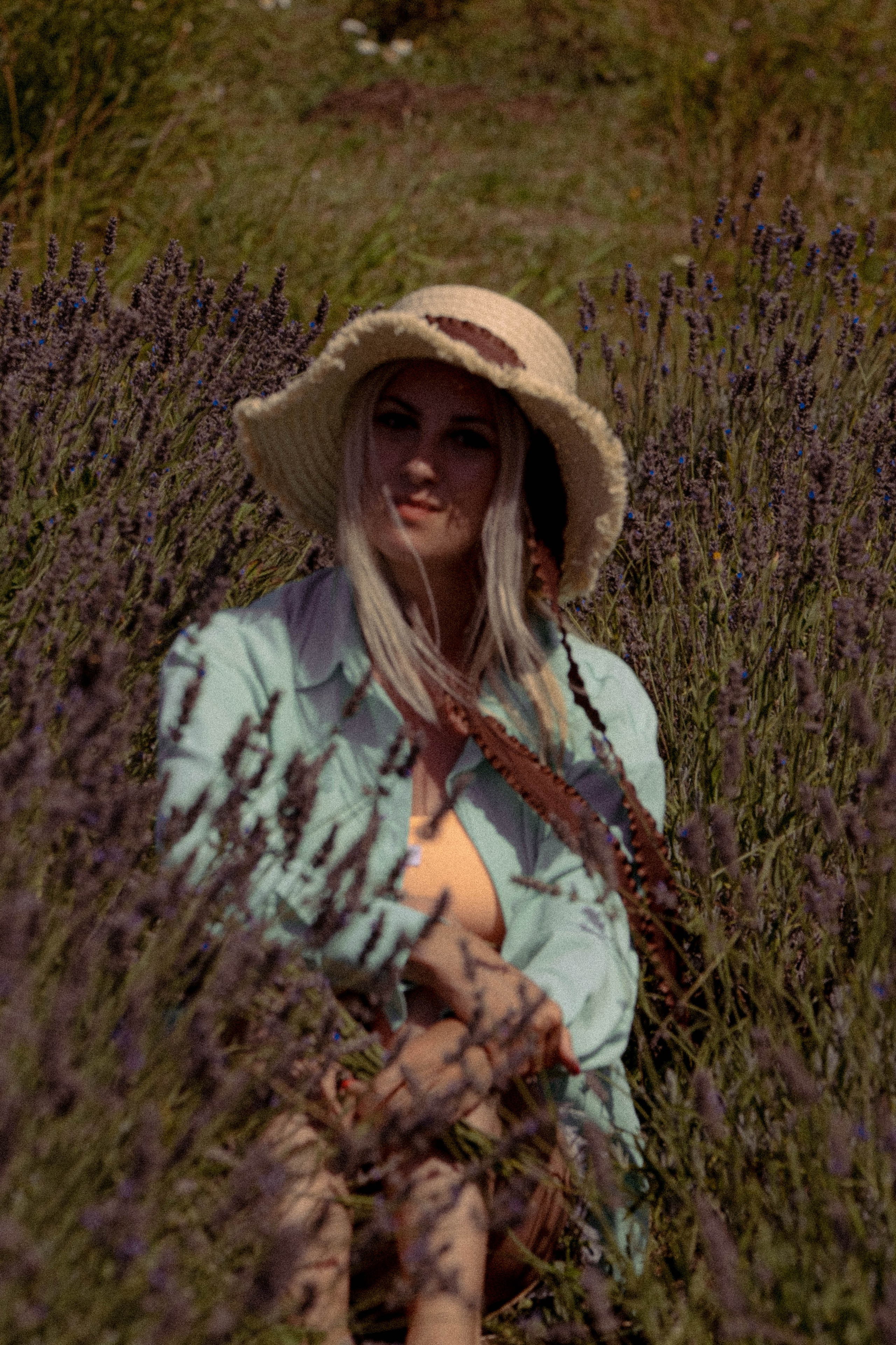 ЛАВАНВОДОВОЕ ПОЛЕ. Профессиональный фотограф, Санкт-Петербург — Виктория Богомолова